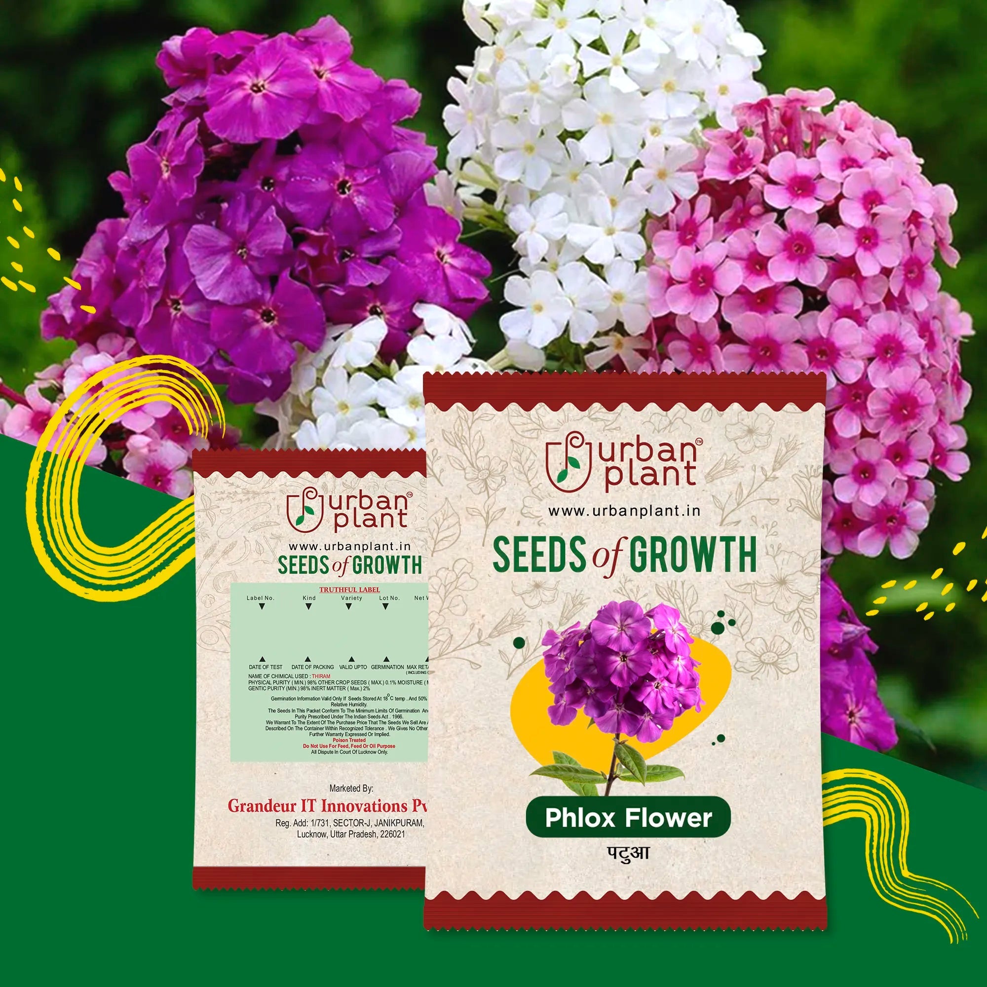 phlox seeds from plant Buy Phlox Mix Flower Seeds
