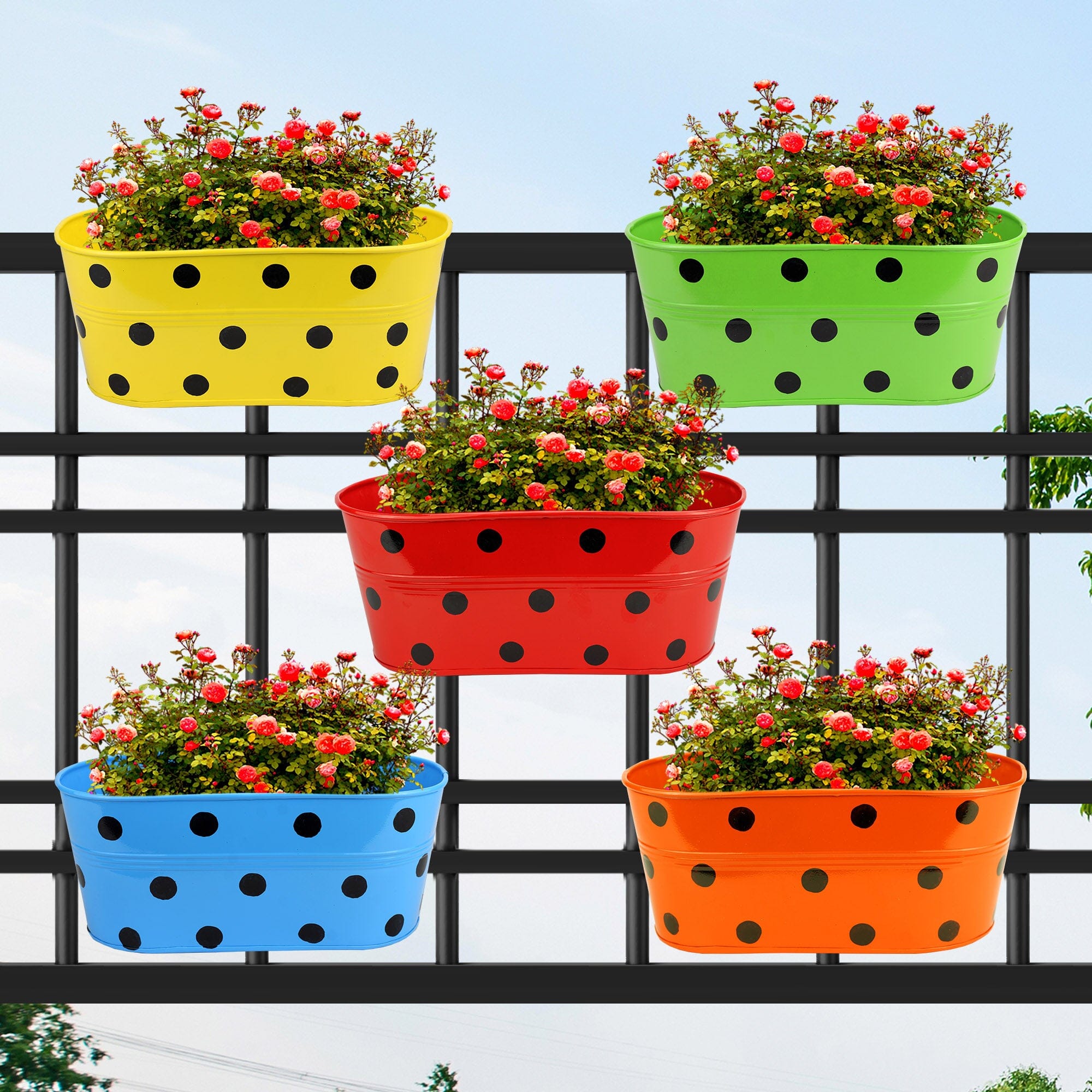 Hanging Planter Dot Oval Shaped 12 Inch (Green, Red, Blue and Yellow) (Set of 5) Oval Balcony Hanging Pot Urban Plant 