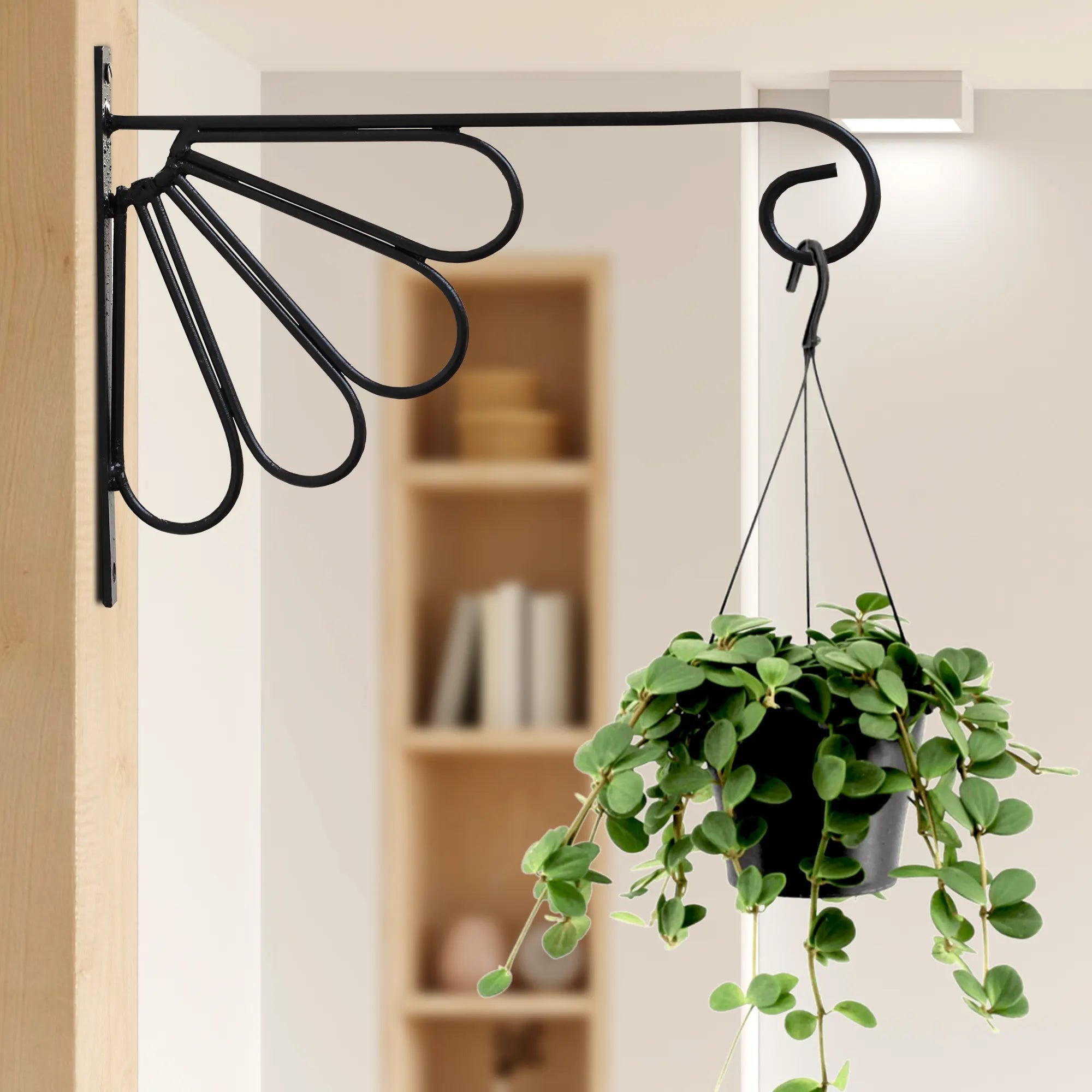Plant Hanger Wall Hooks, Metal Hanging Plant Bracket - (Set of 2) (12 in.)