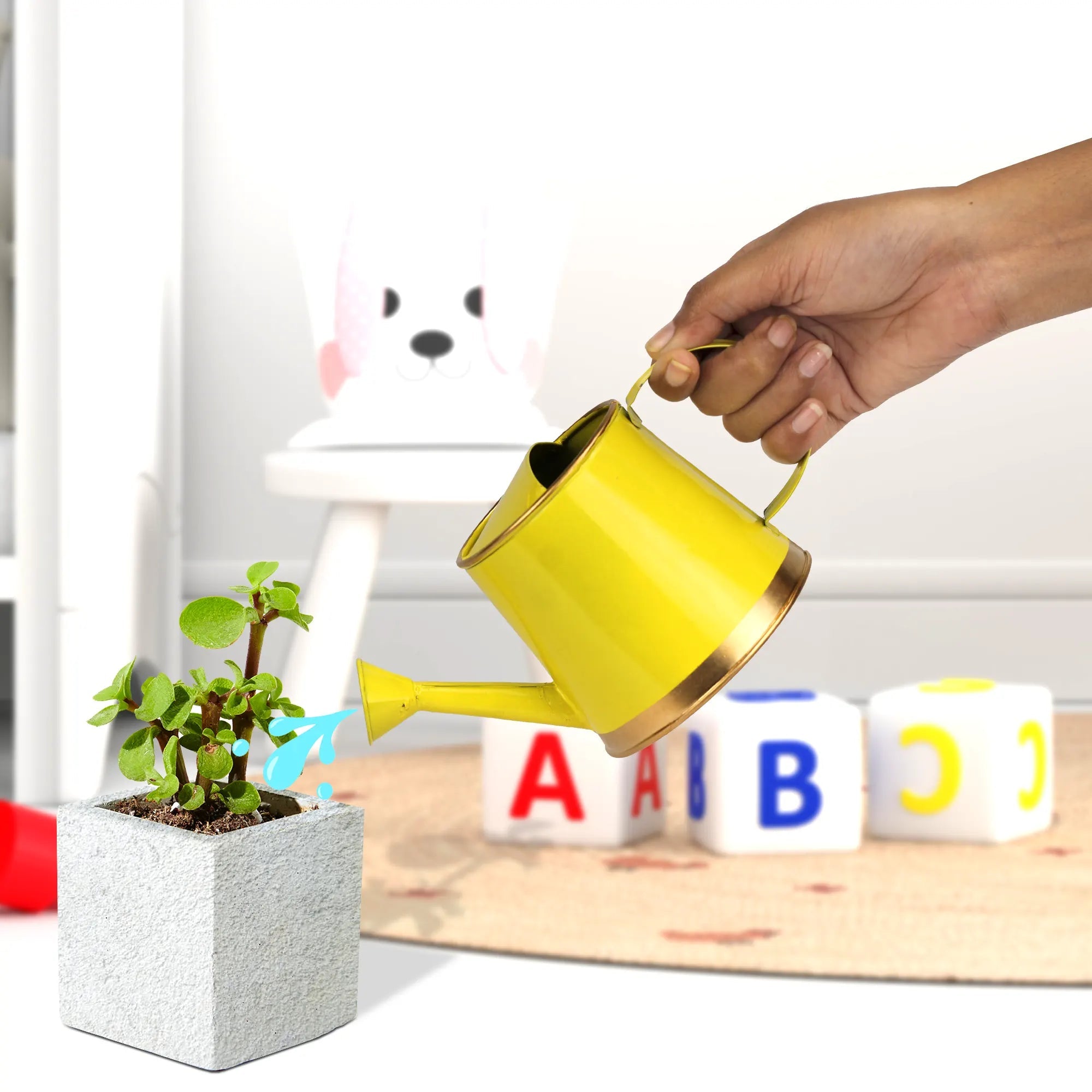 Small Watering Can for Kids | For Indoor and Outdoor Plants (250 ML) Home & Garden Urban Plant Yellow 