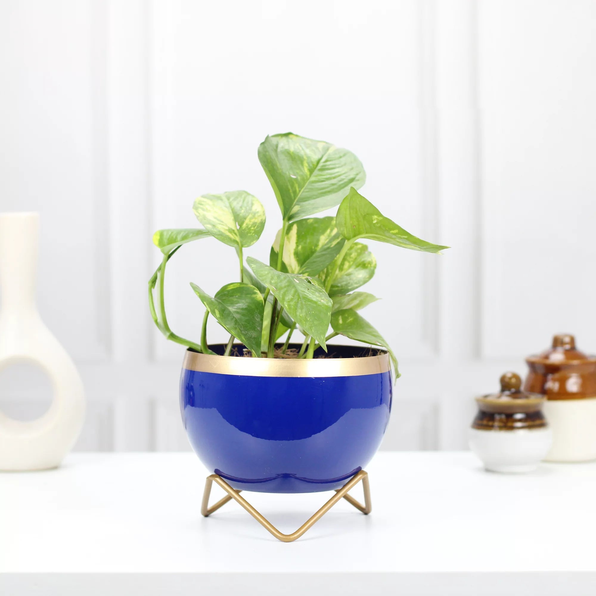 Planters for Tabletop (5 Inch) (Multicolor) Metal Planter Urban Plant Blue Gold 