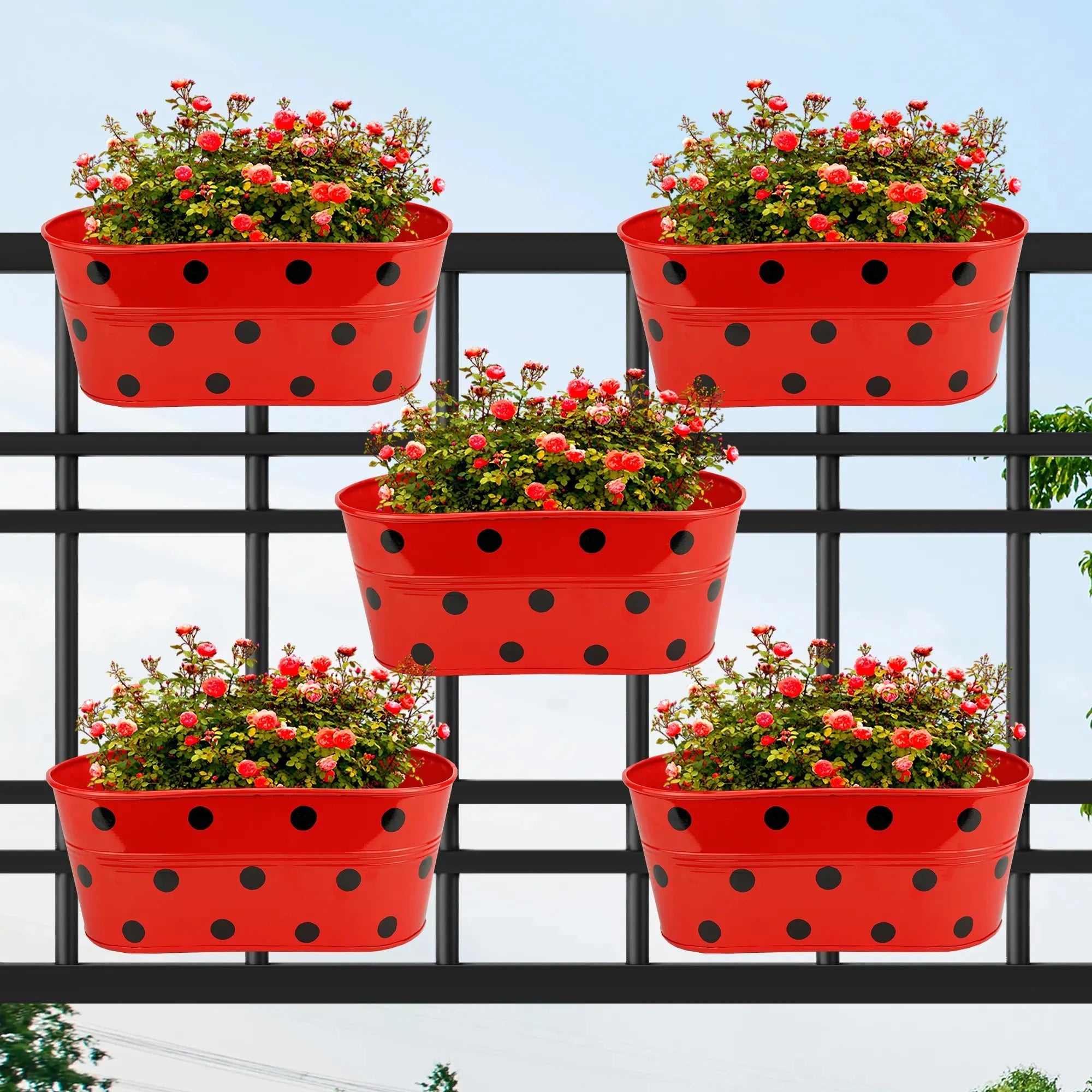 Ovela Hanging Planter - (Set of 5) Hanging Planter Urban Plant Red