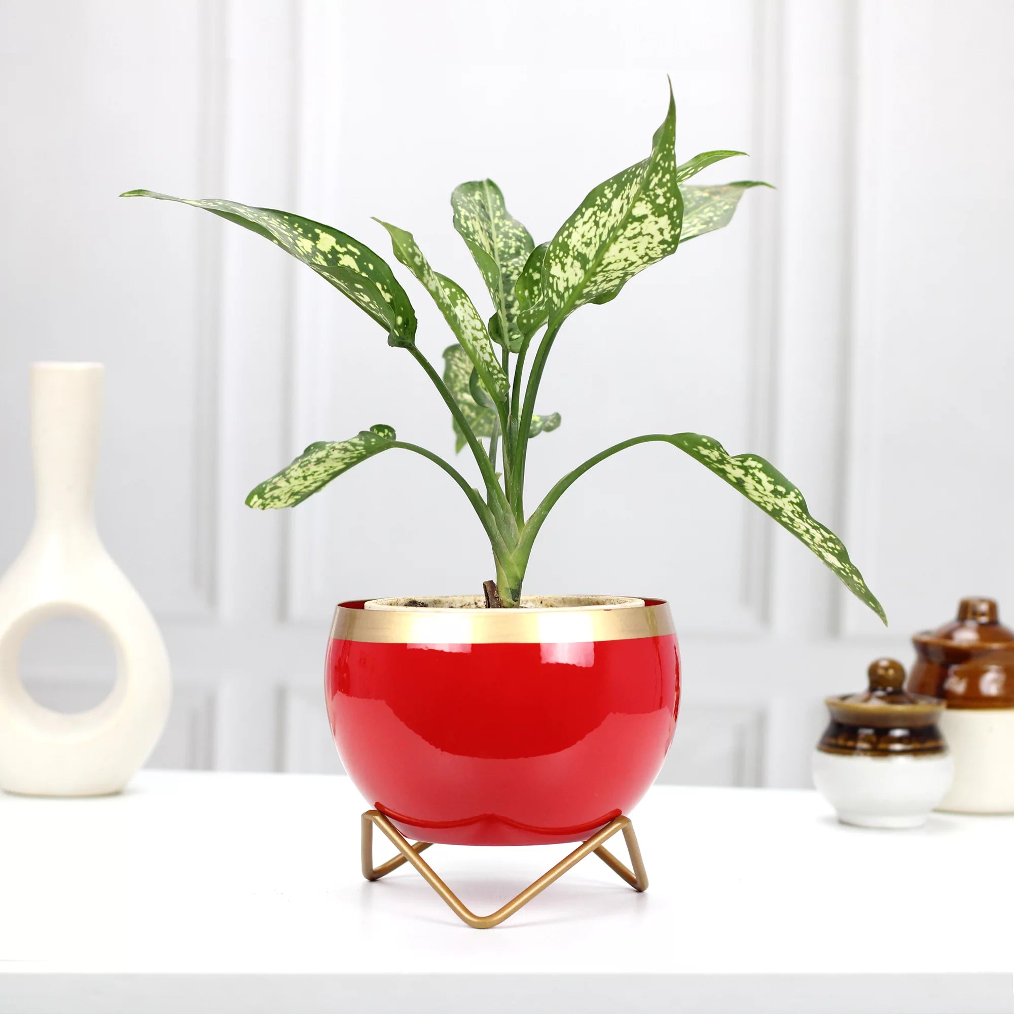 Planters for Tabletop (5 Inch) (Multicolor) Metal Planter Urban Plant Red Gold