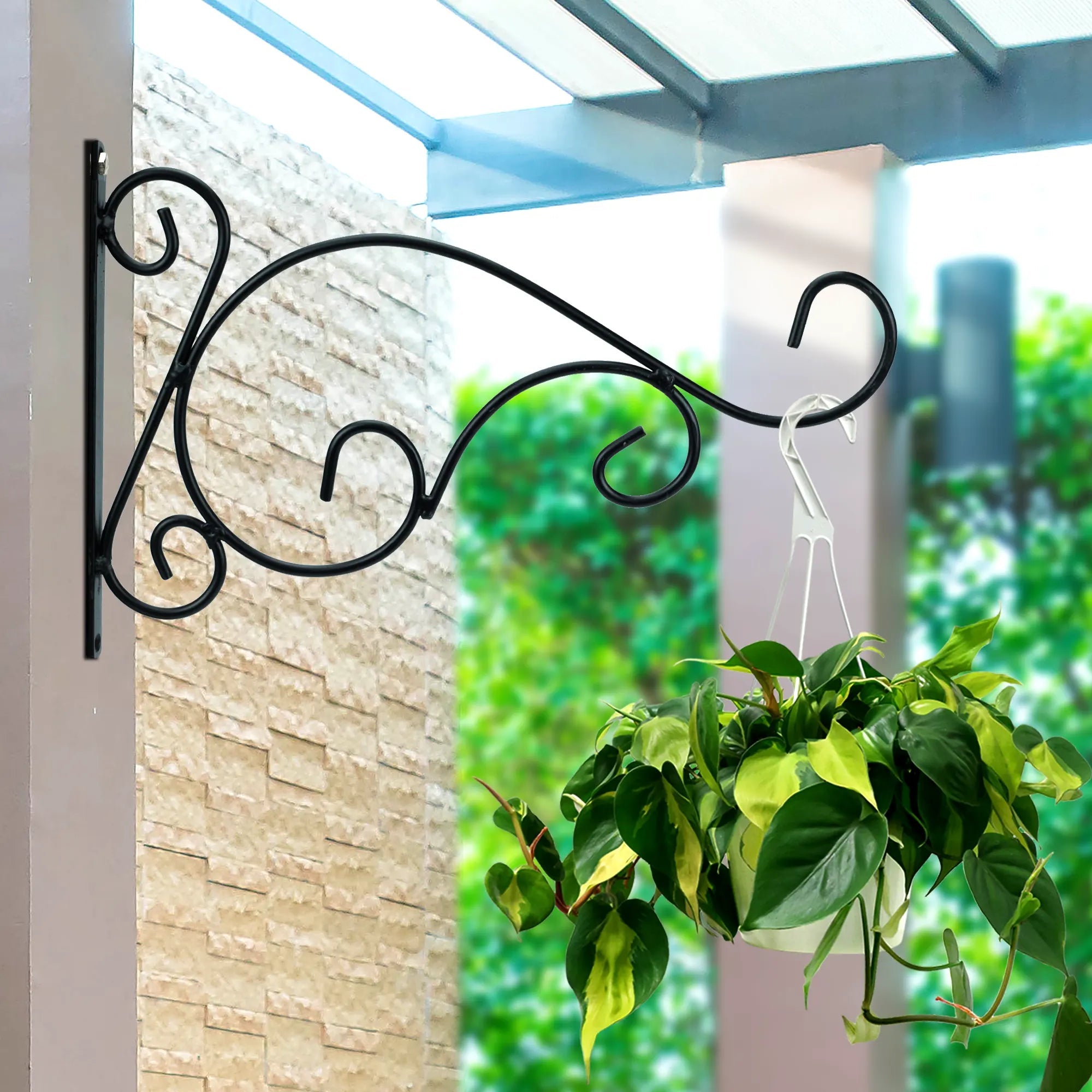 Curved Wall Bracket for Plant ( Set of 2 ) Urban Plant