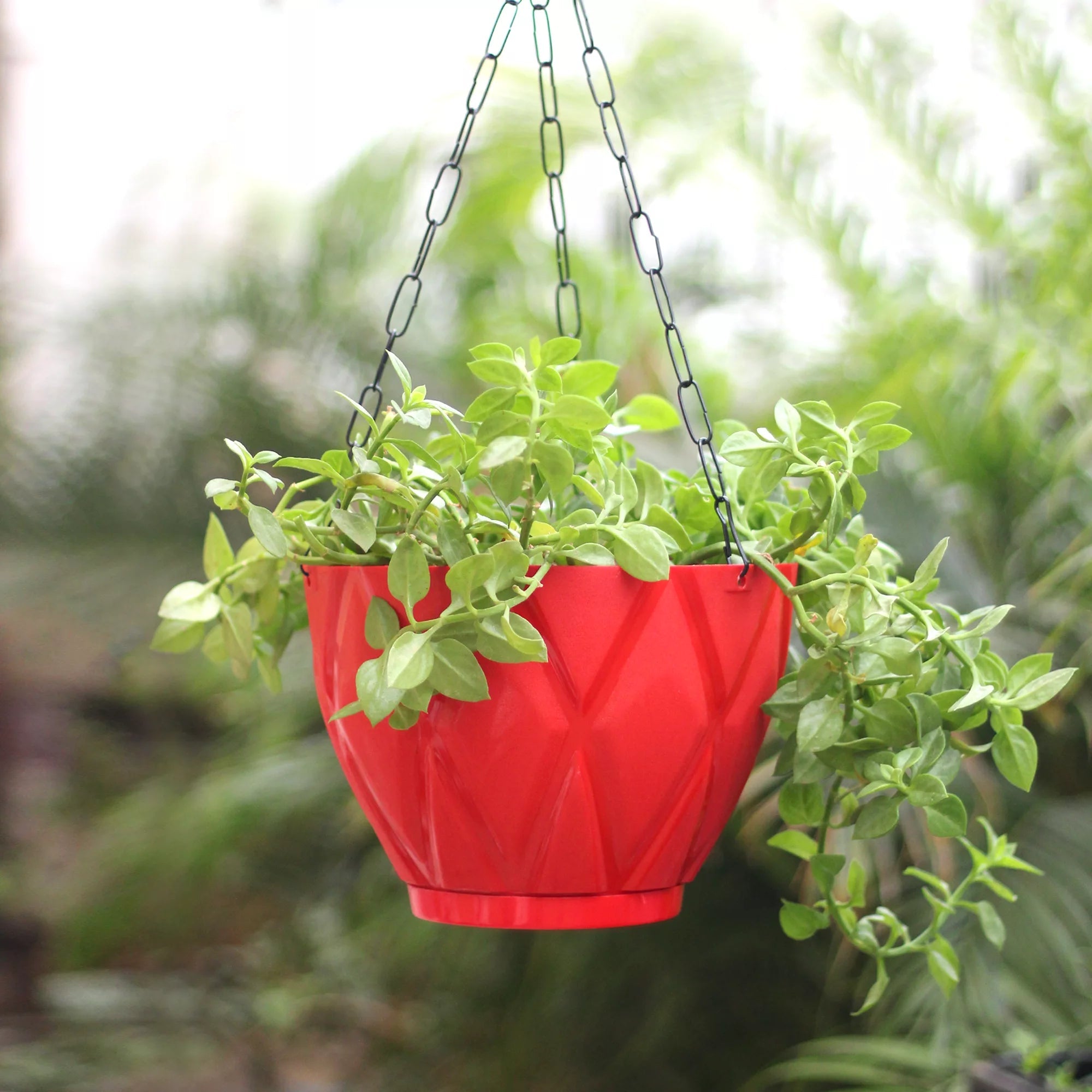 Plastic Hooked Hanging Planter Pot With Bottom Tray Hanging Planter Urban Plant Red 