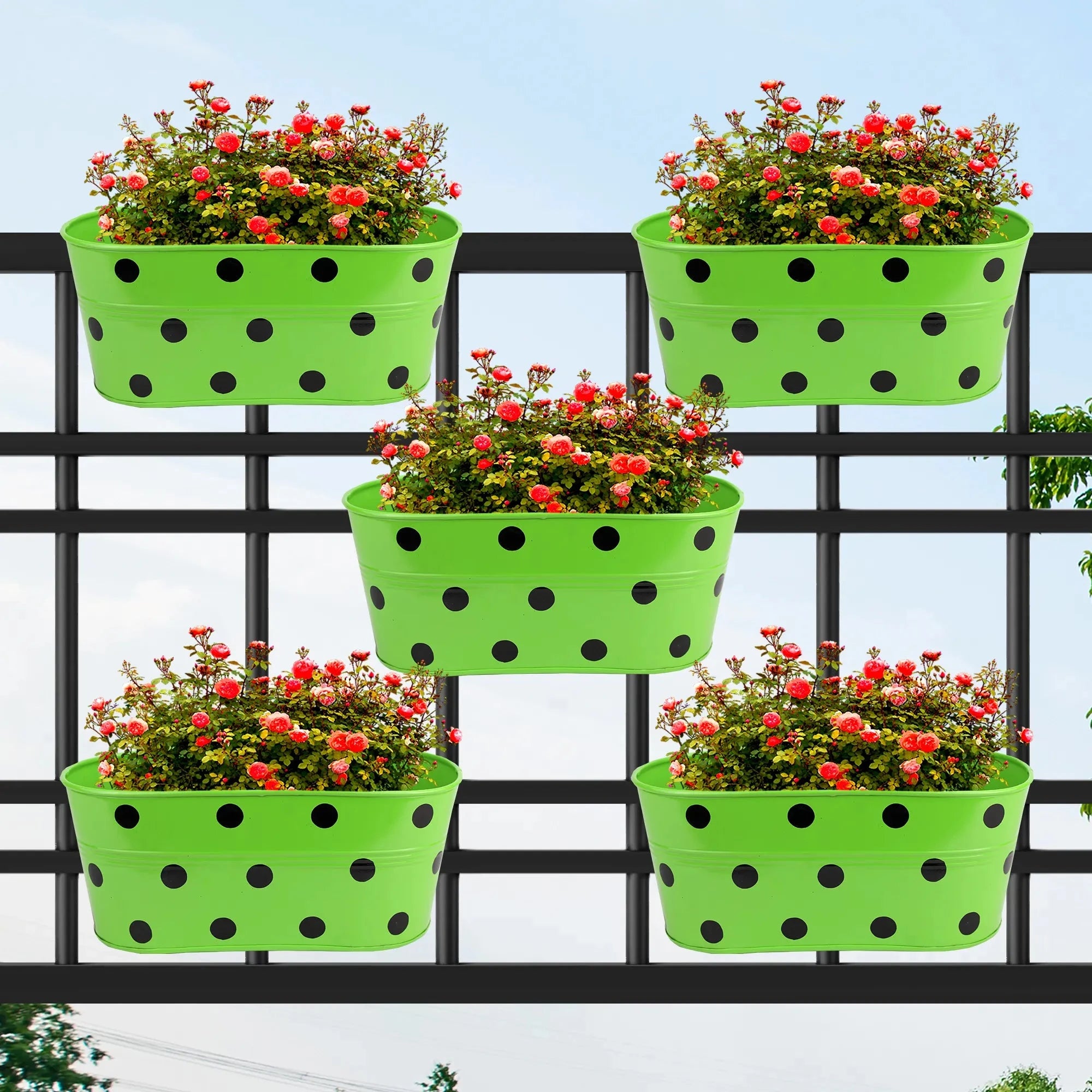 Ovela Hanging Planter - (Set of 5) Hanging Planter Urban Plant Green