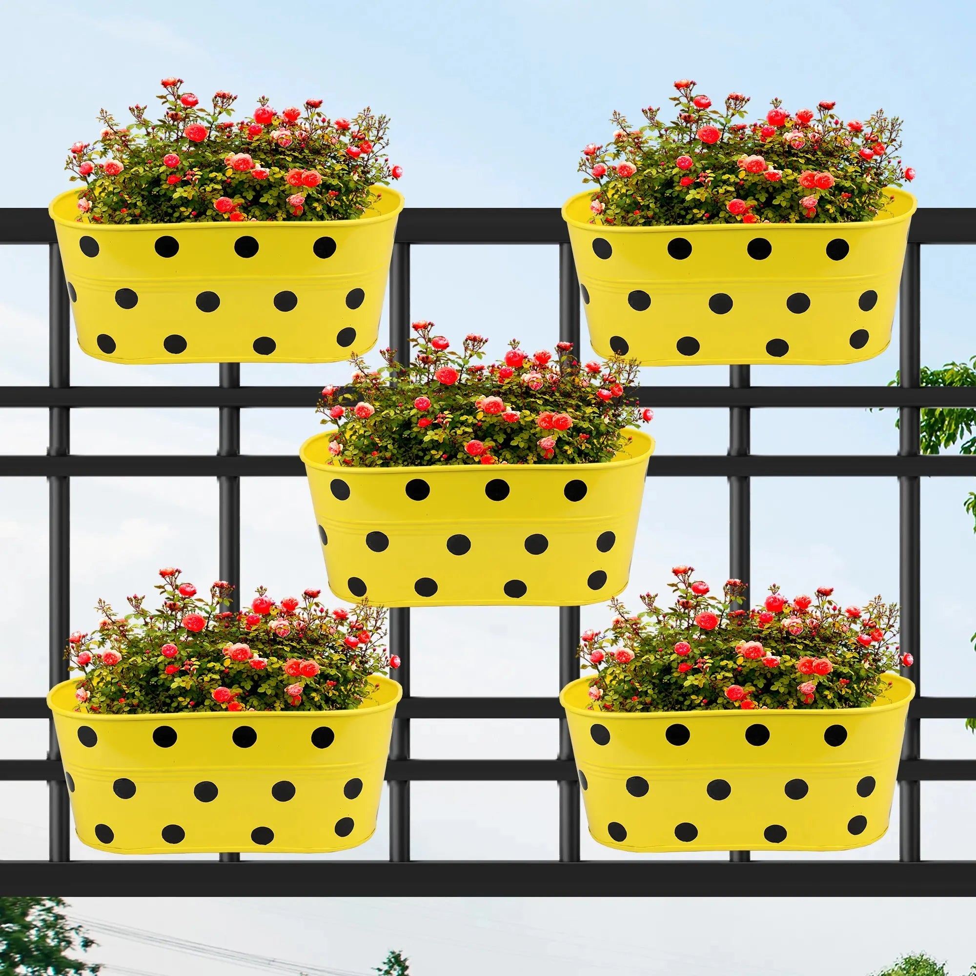 Ovela Hanging Planter - (Set of 5) Hanging Planter Urban Plant Yellow