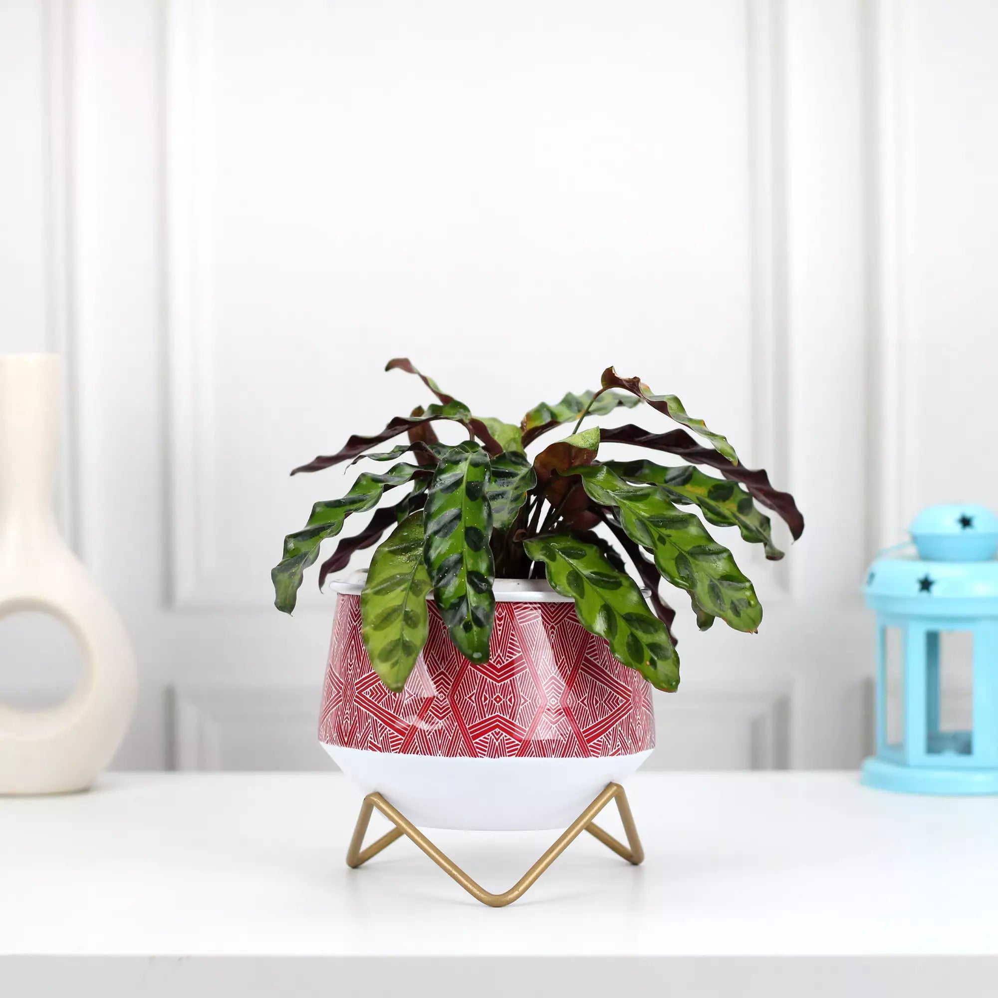 Caramel Mini Metal Planter | Flower Vase Metal Planter Urban Plant Aipan Delight 