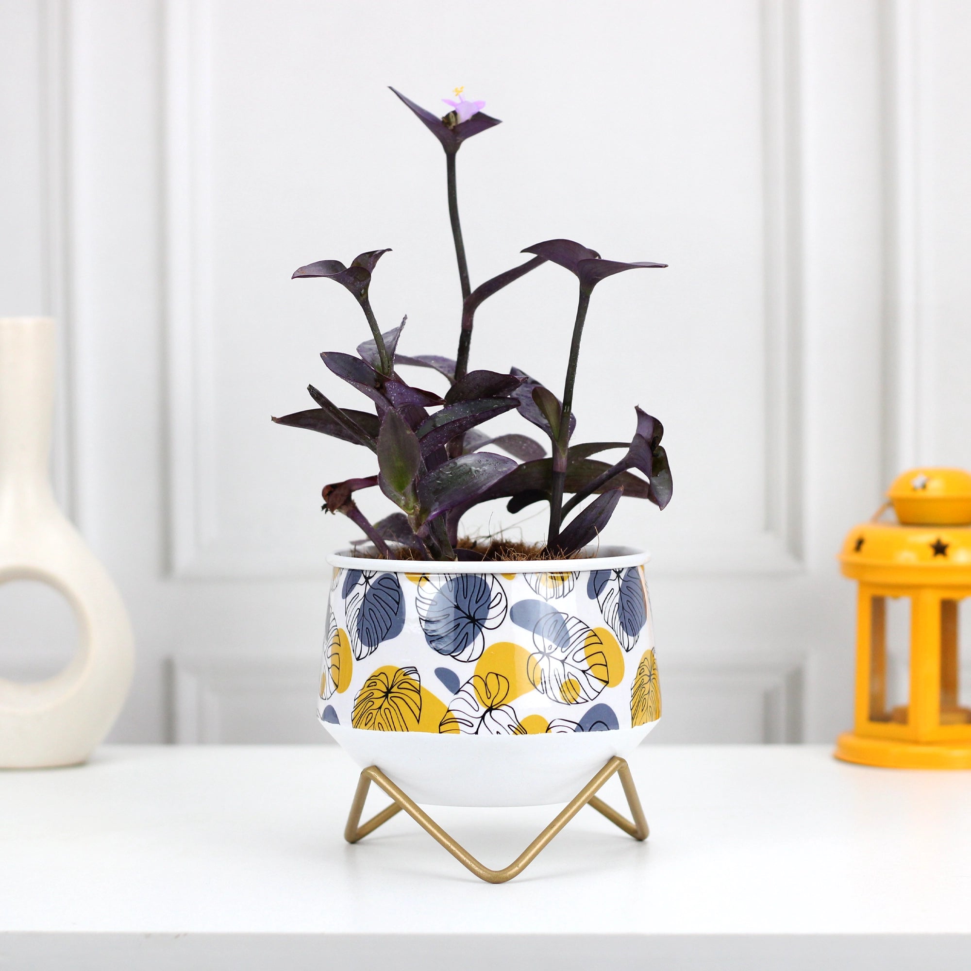 Caramel Mini Metal Planter | Flower Vase Metal Planter Urban Plant Leafy Delight 