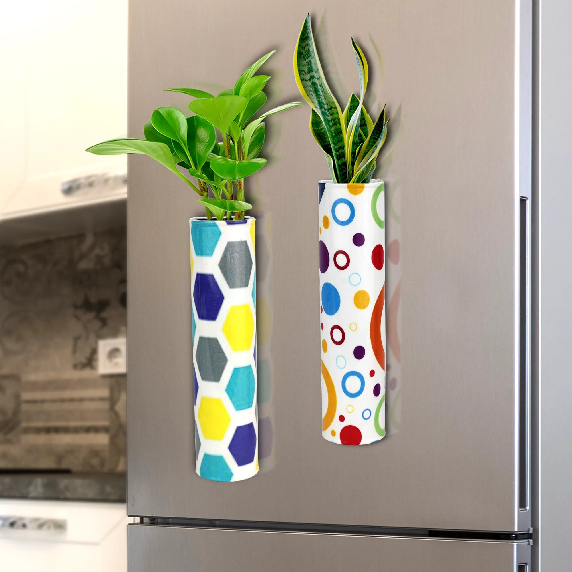 Decorative Colorful Magnetic Planters for Fridge Online (Set of 2) Magnetic Planter Urban Plant Chroma Patch