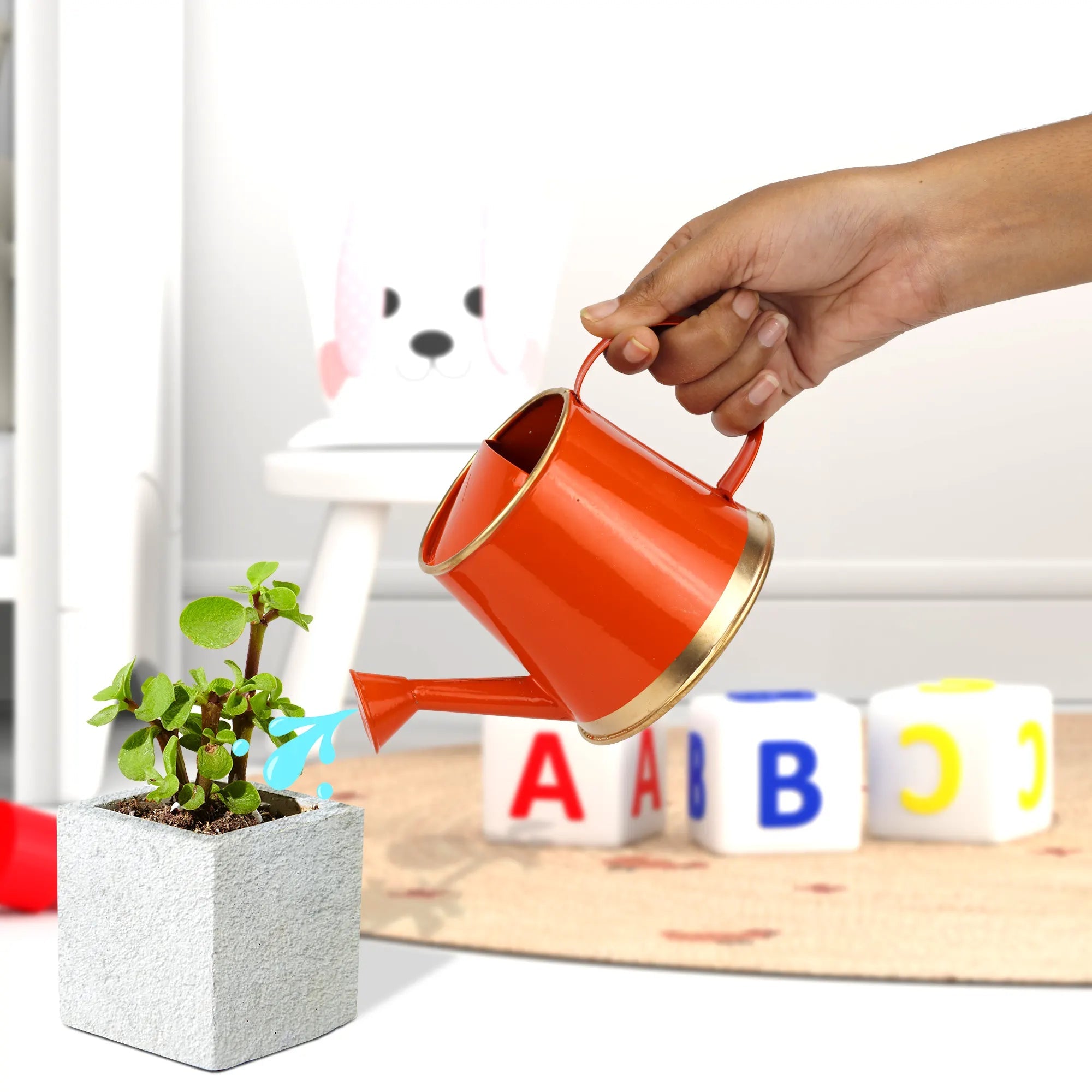 Small Watering Can for Kids | For Indoor and Outdoor Plants (250 ML) Home & Garden Urban Plant Orange 