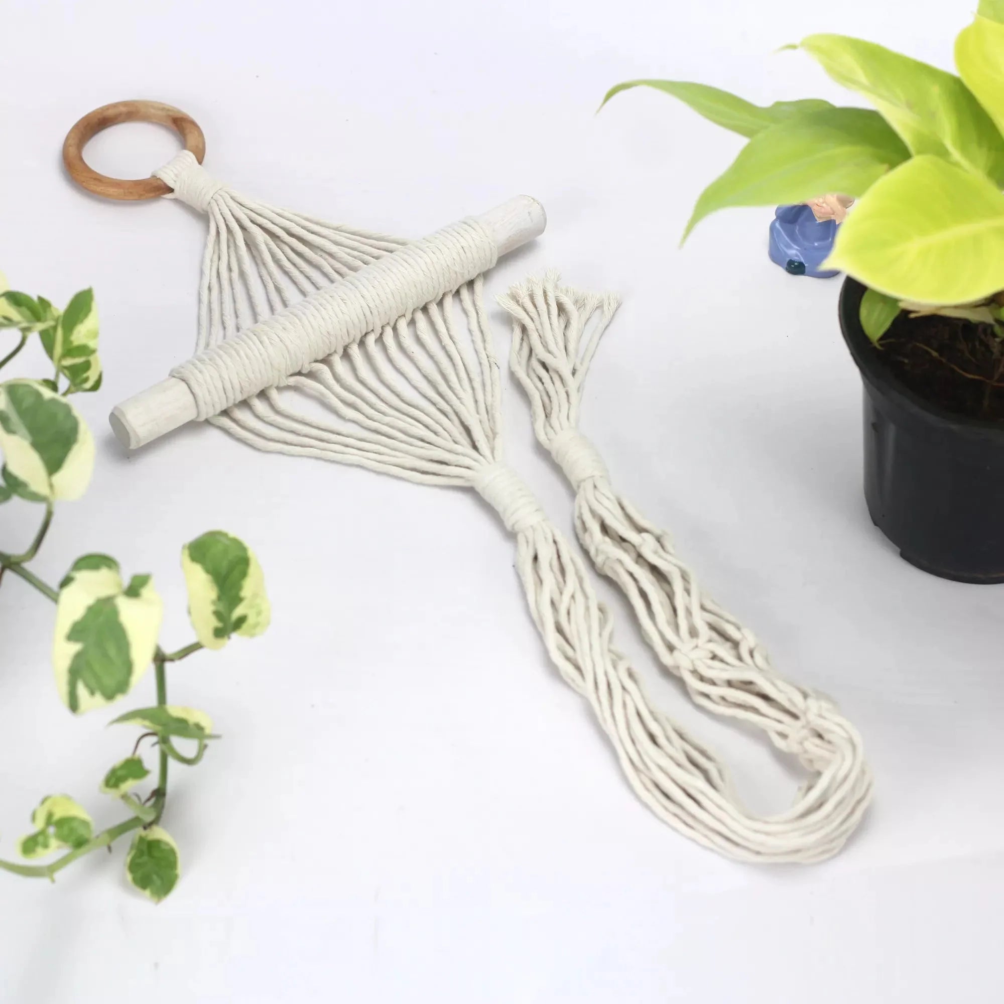 Twisted Tassel Macrame Plant Hanger Hanging Planter Urban Plant