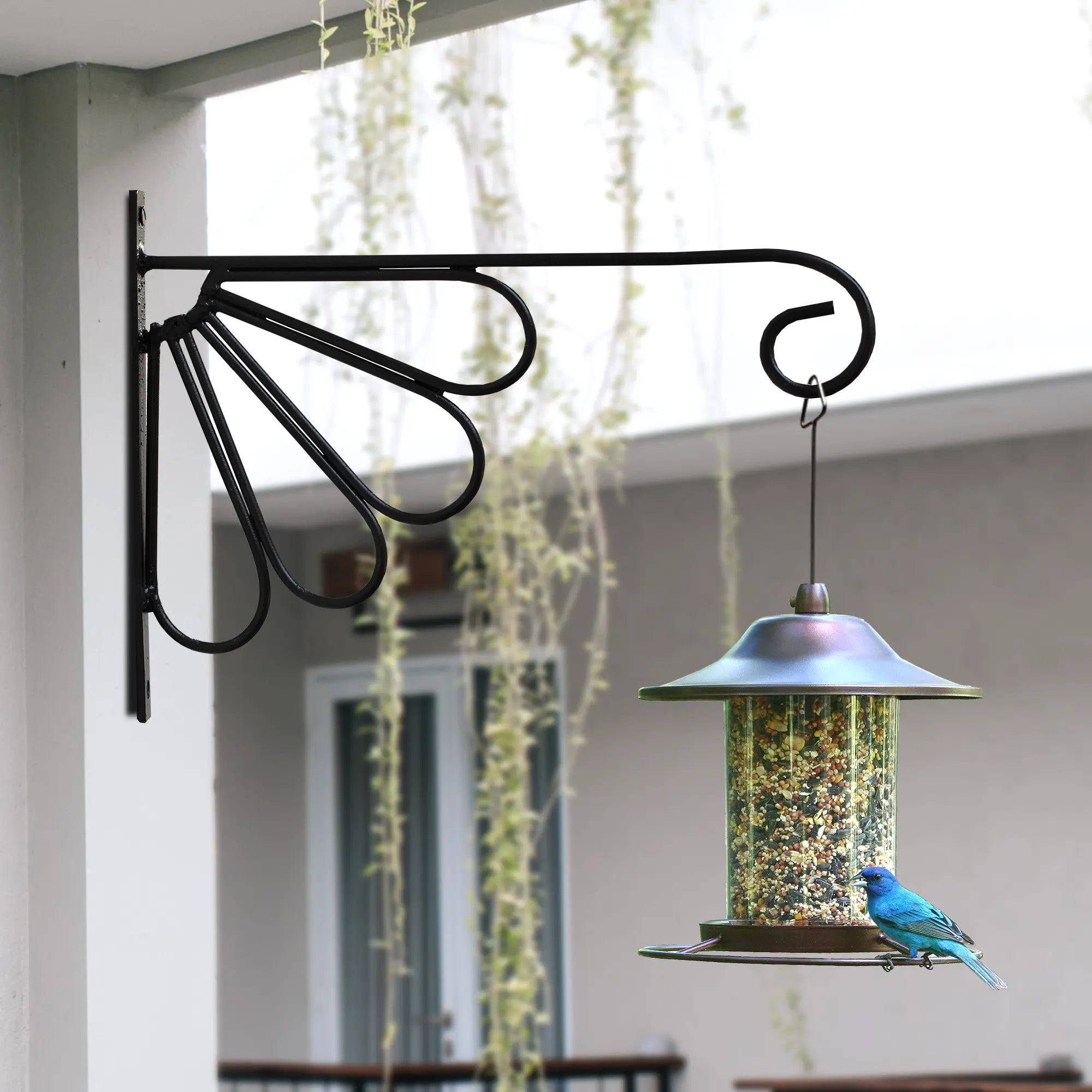 Wall Bracket for Plants (Set of 2) Wall Hanging Planter Urban Plant