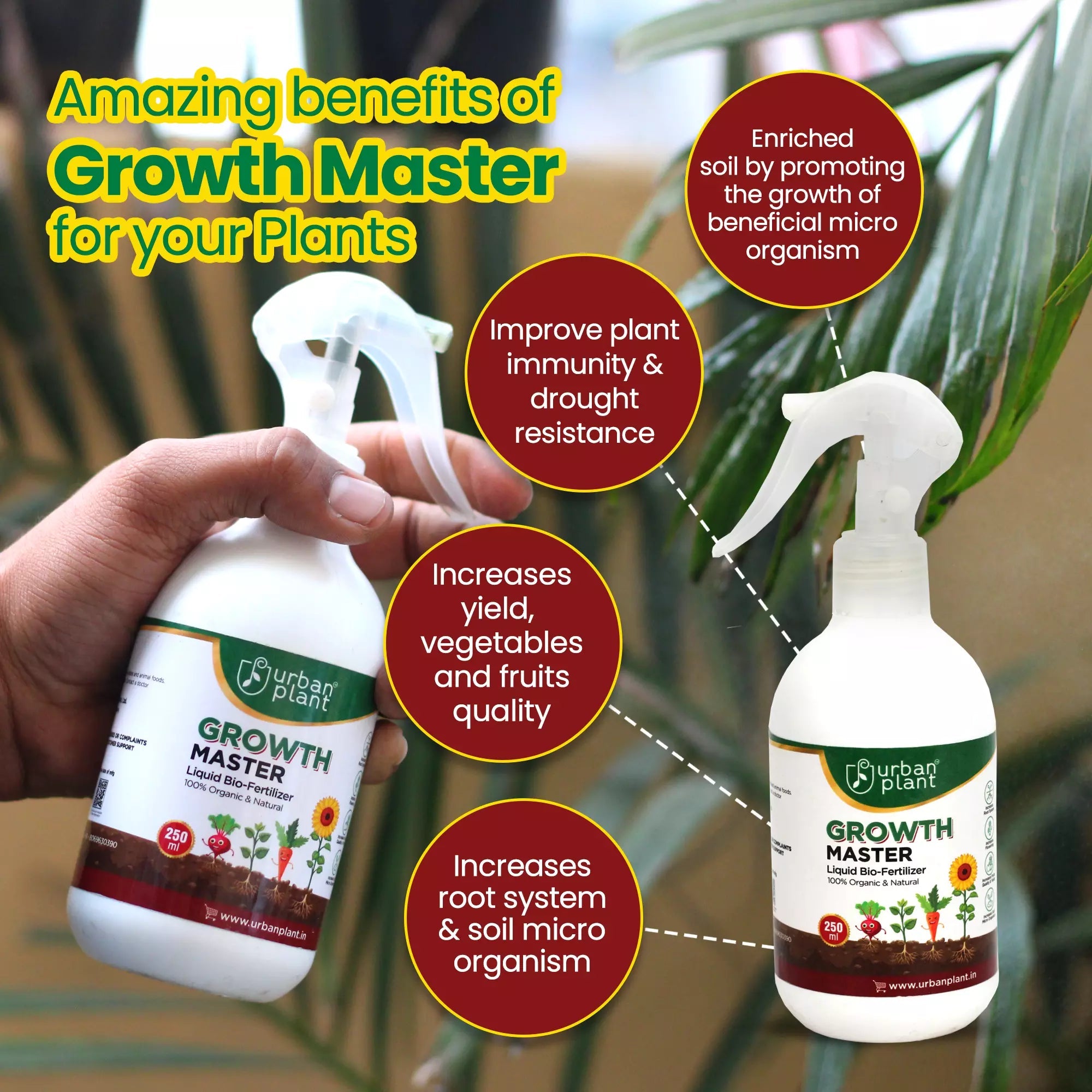 Growth Master Liquid Fertilizer for Vegetables, Fruits and Greenie Plant Diet Urban Plant