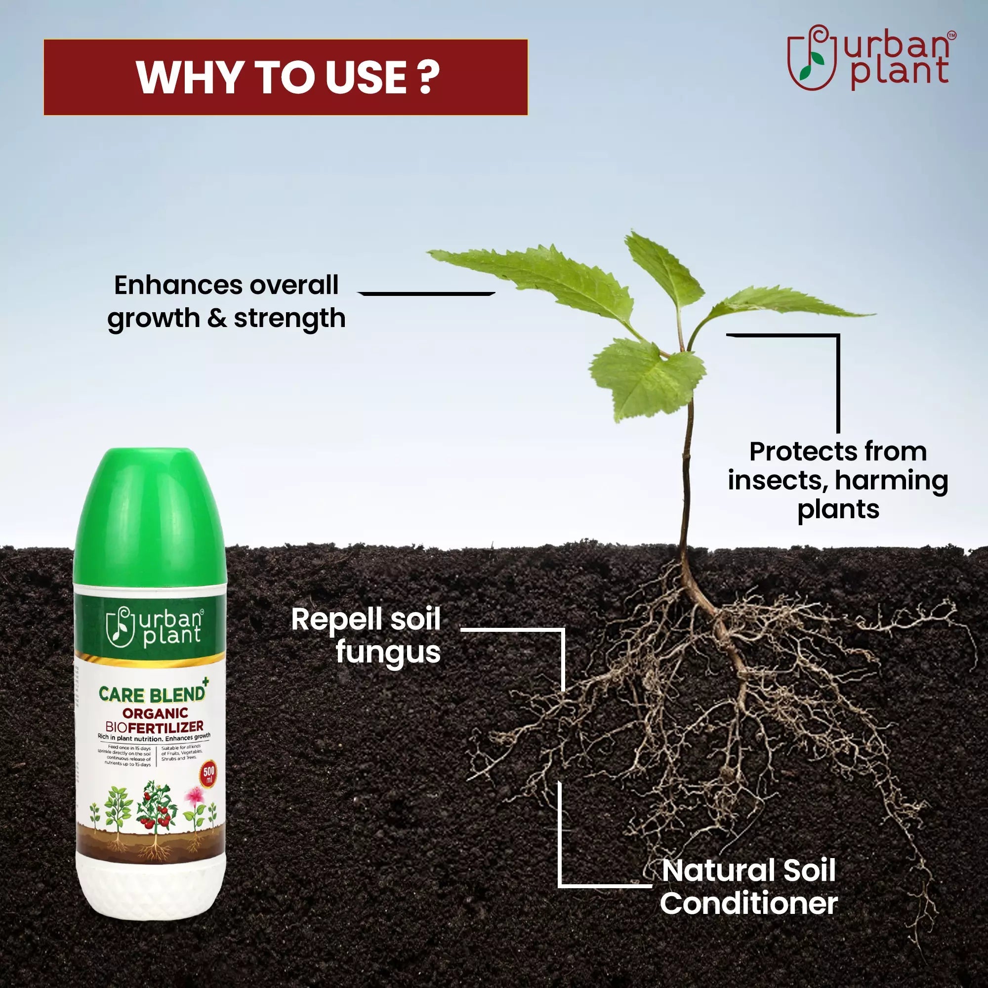 Care Blend Organic Bio Fertilizer for Vegetables, Fruits and Greenie Plant Diet Urban Plant