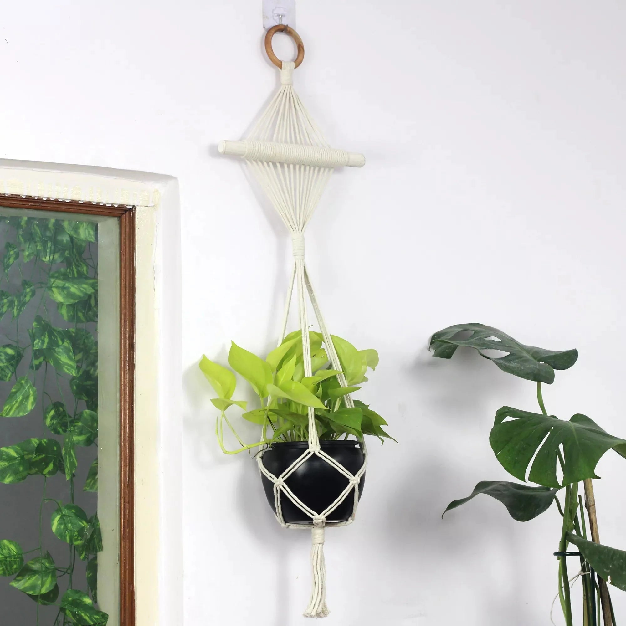 Twisted Tassel Macrame Plant Hanger Hanging Planter Urban Plant