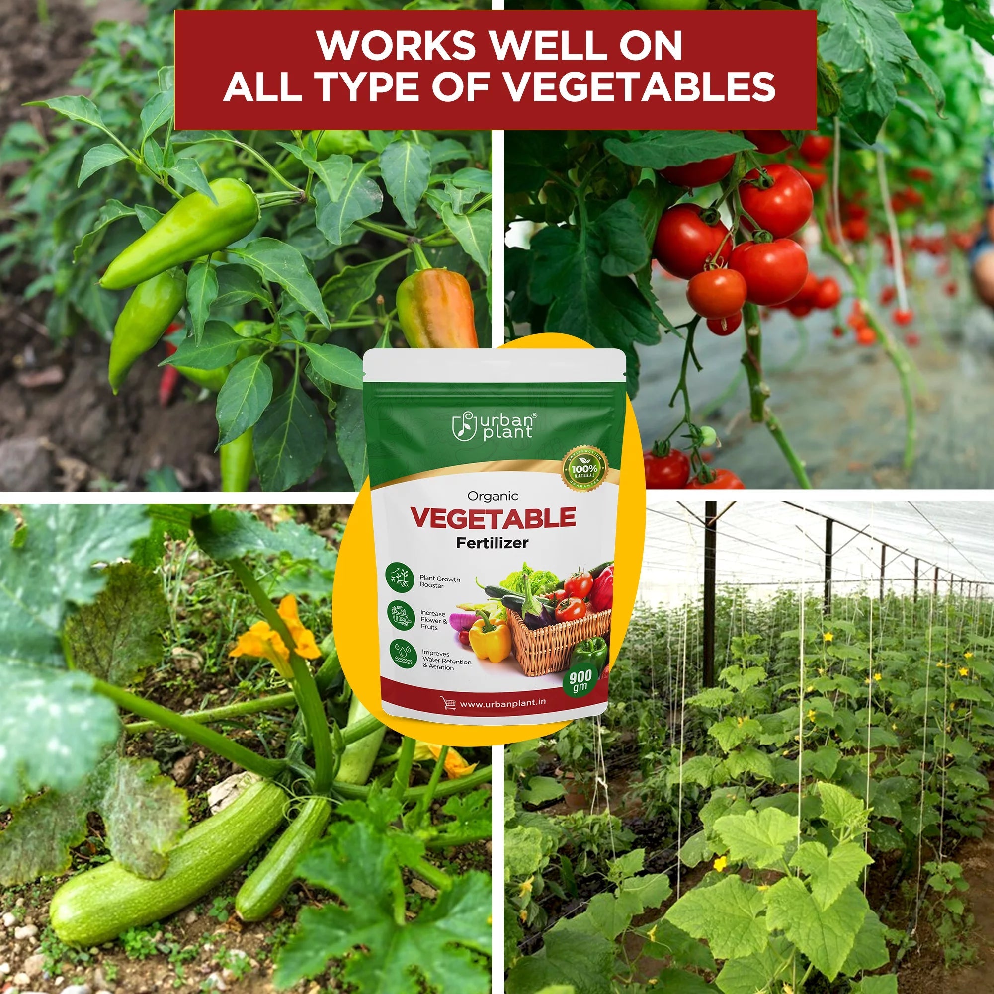 Vegetable Fertilizer for Vegetable Plants 900g Potting Mix Urban Plant