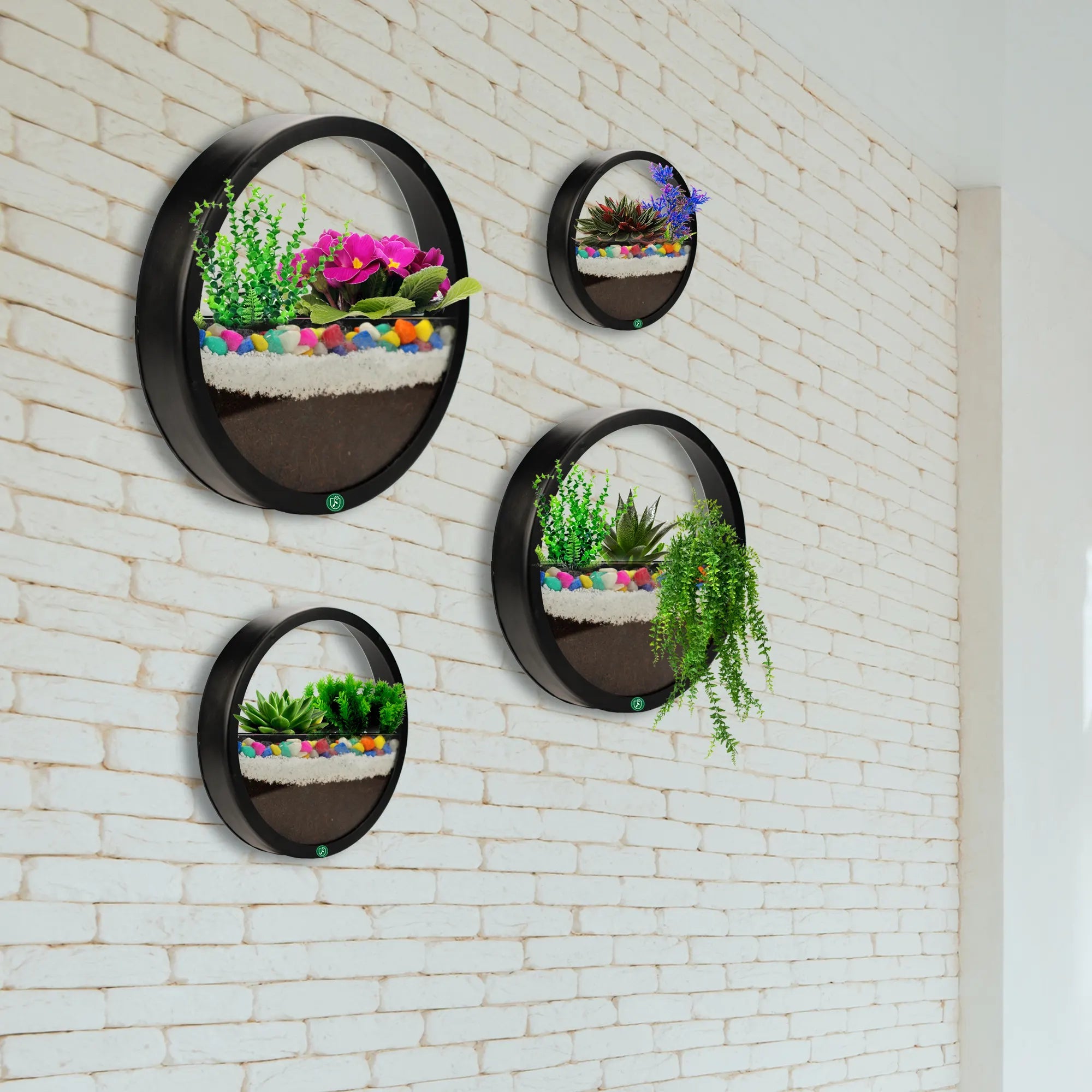 Hanging Round Wall Planters - Terrariums Set of 4 - Wall Mounted Plant Holder for Indoor & Outdoor Wall Hanging Planter Urban Plant 