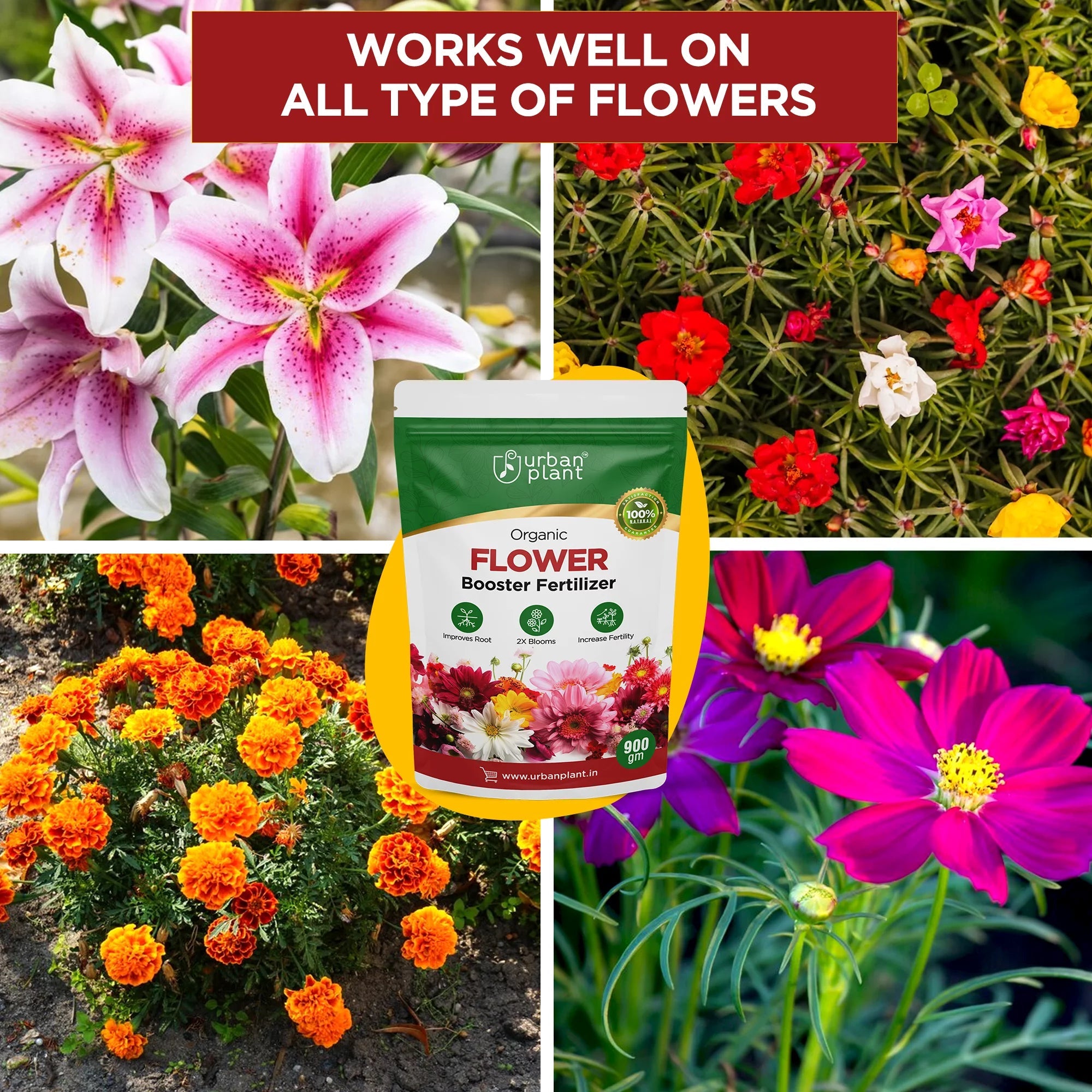 Flower Booster Fertilizer for Rose Plants 900g Potting Mix Urban Plant