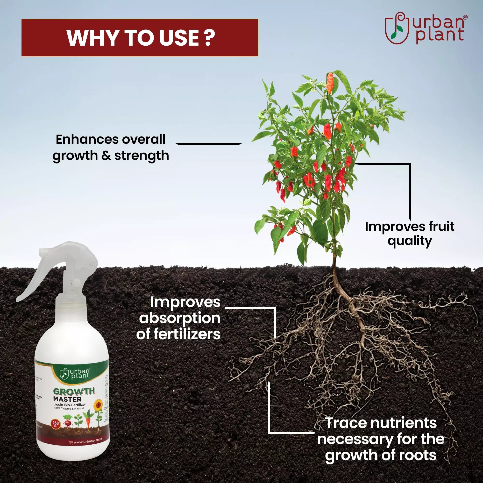 Growth Master Liquid Fertilizer for Vegetables, Fruits and Greenie Plant Diet Urban Plant