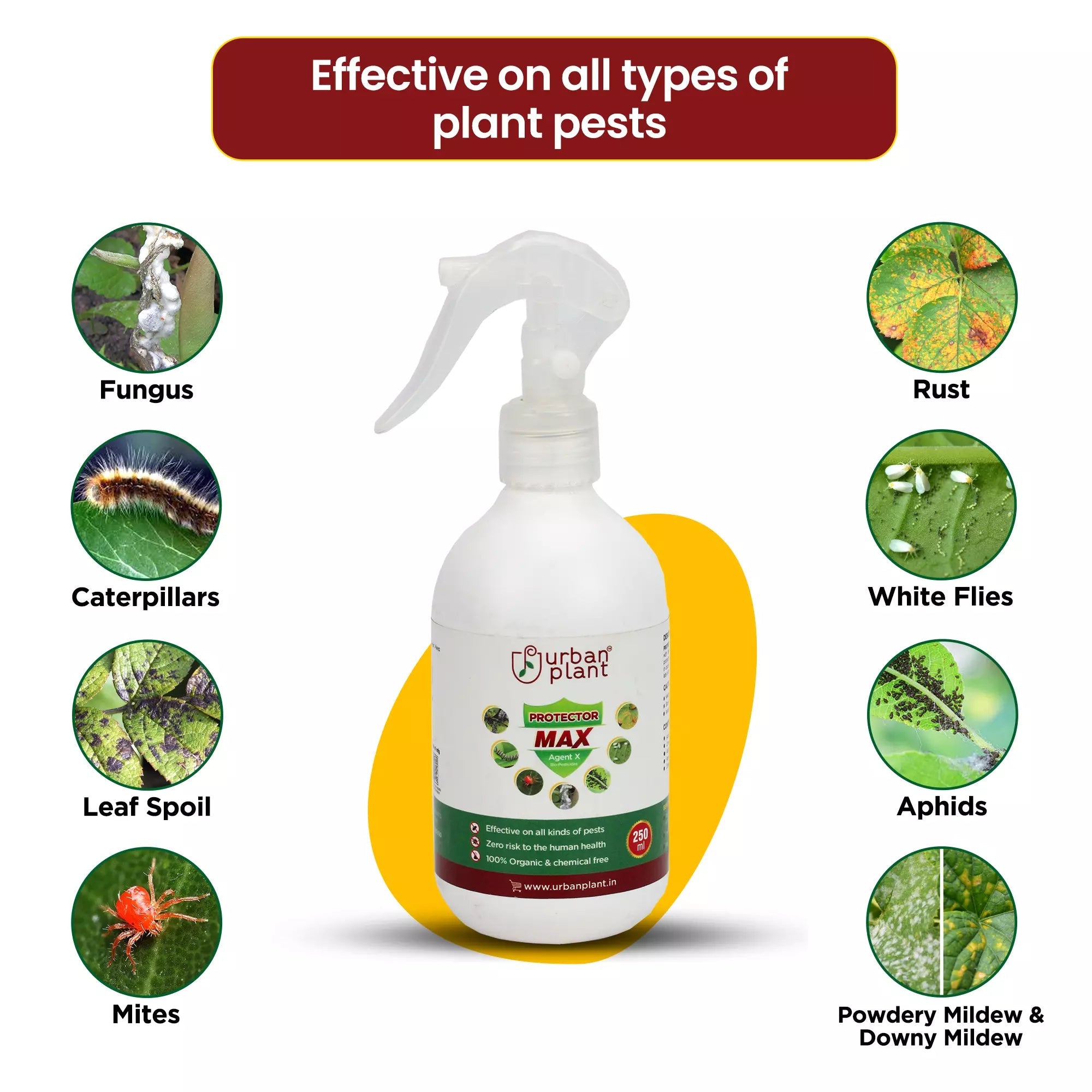 Protector MAX Pest Control for Vegetables, Fruits and Greenie Plant Diet Urban Plant