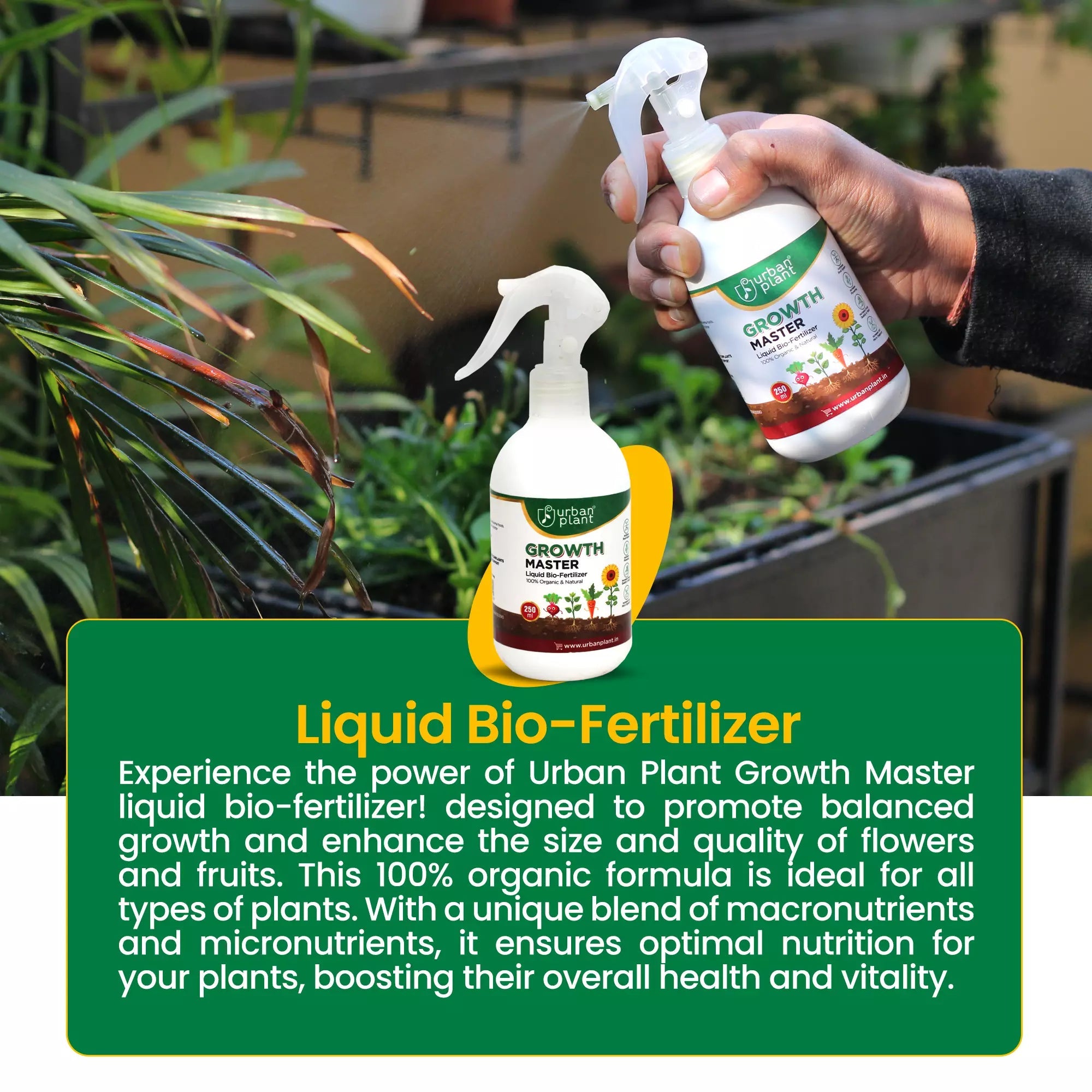 Growth Master Liquid Fertilizer for Vegetables, Fruits and Greenie Plant Diet Urban Plant