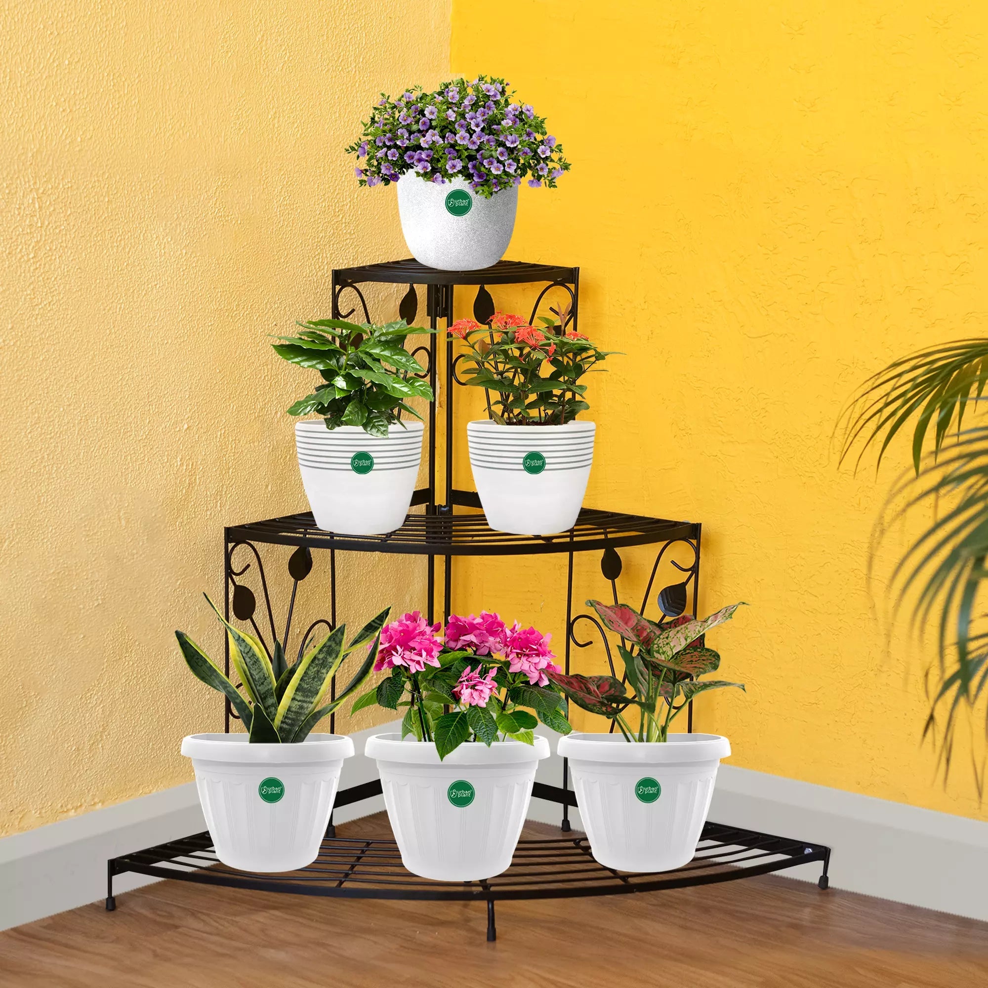 3 Tier Corner Pot Stand Metal -1398 Metal Stand Urban Plant 