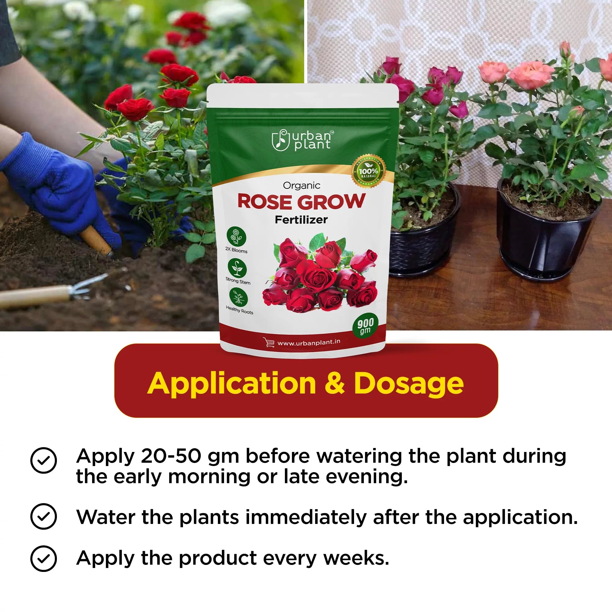Rose Booster Fertilizer for Rose Plants 900g Potting Mix Urban Plant