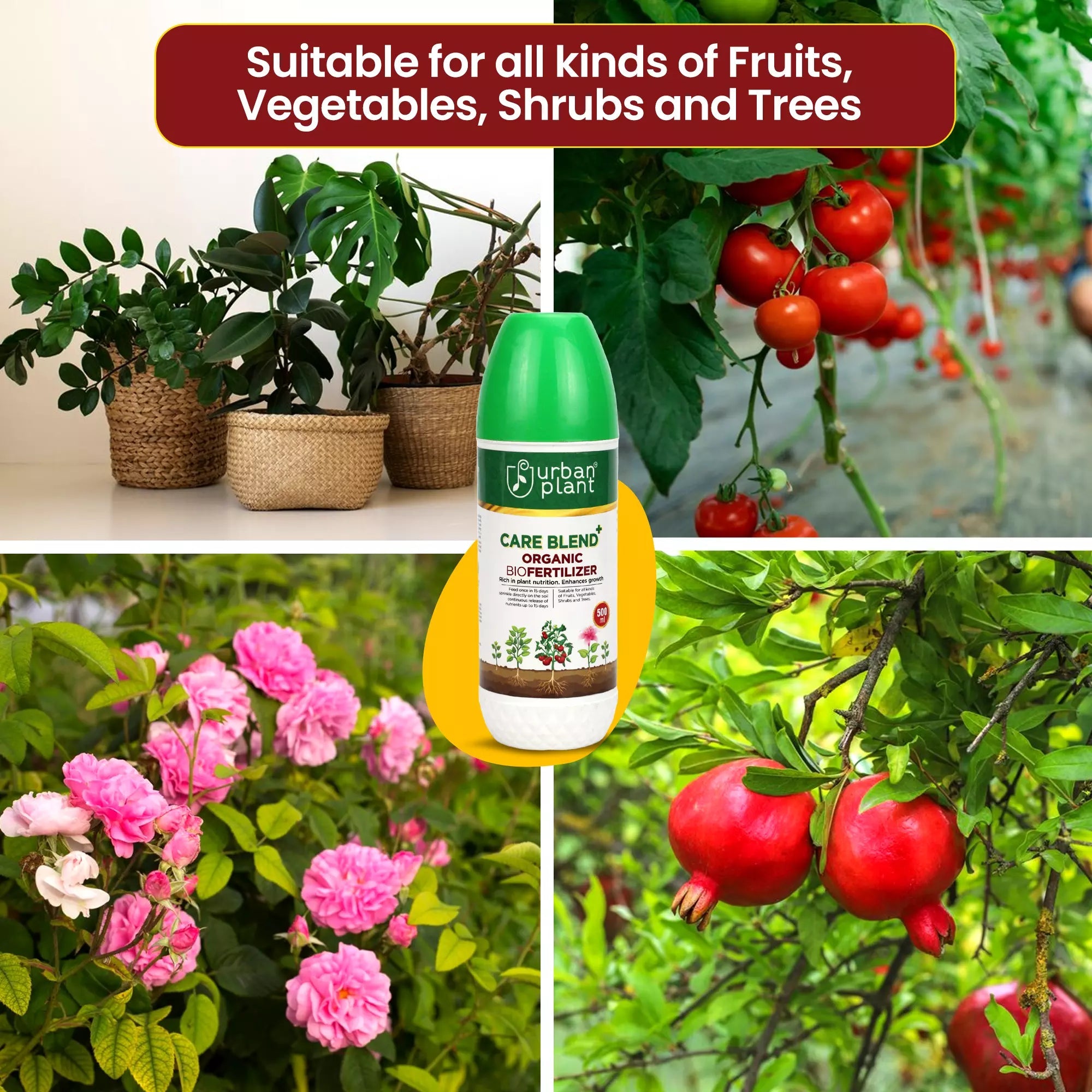 Care Blend Organic Bio Fertilizer for Vegetables, Fruits and Greenie Plant Diet Urban Plant 