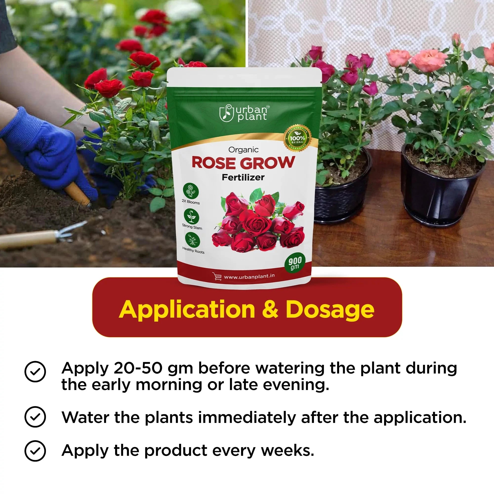 Rose Grow Fertilizer Potting Mix Urban Plant