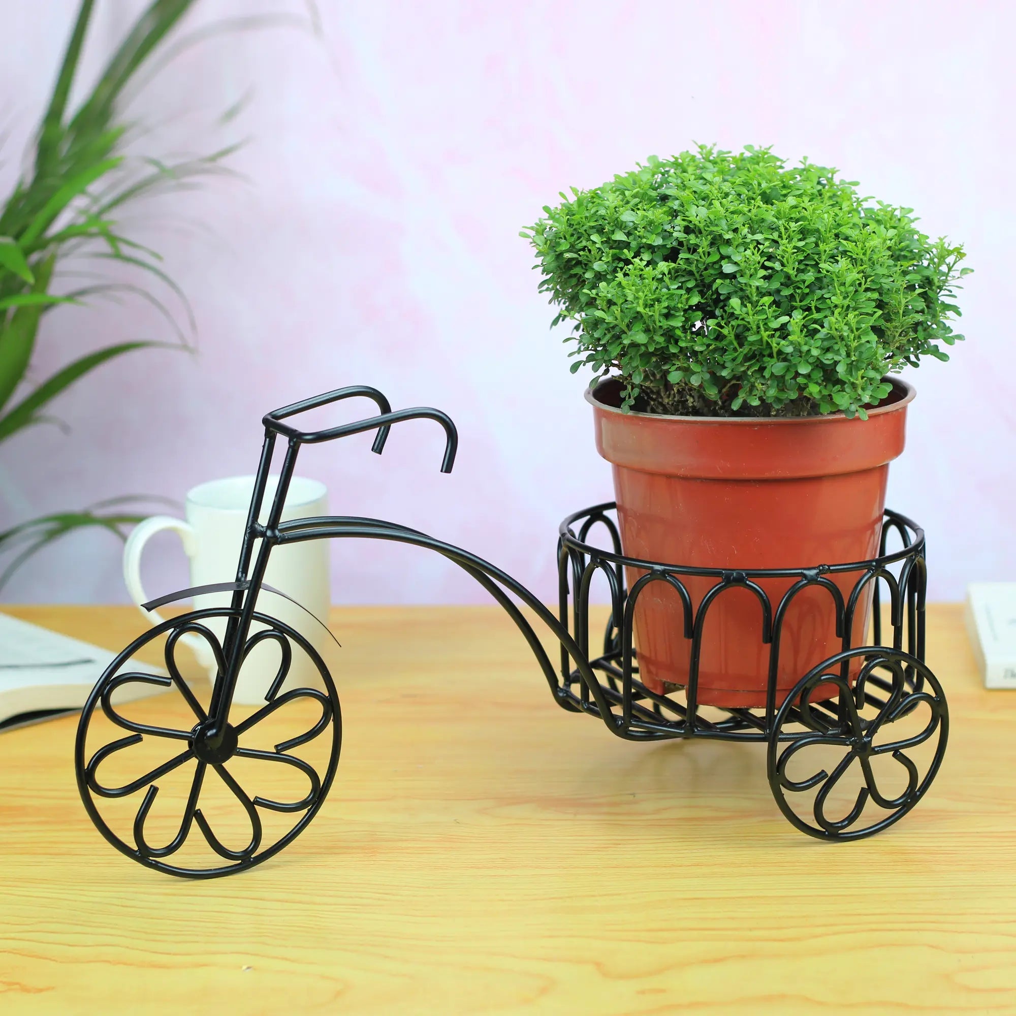 Table Top Rickshaw Style Metal Planter for Indoor (No. 1152) Planter Stand Urban Plant