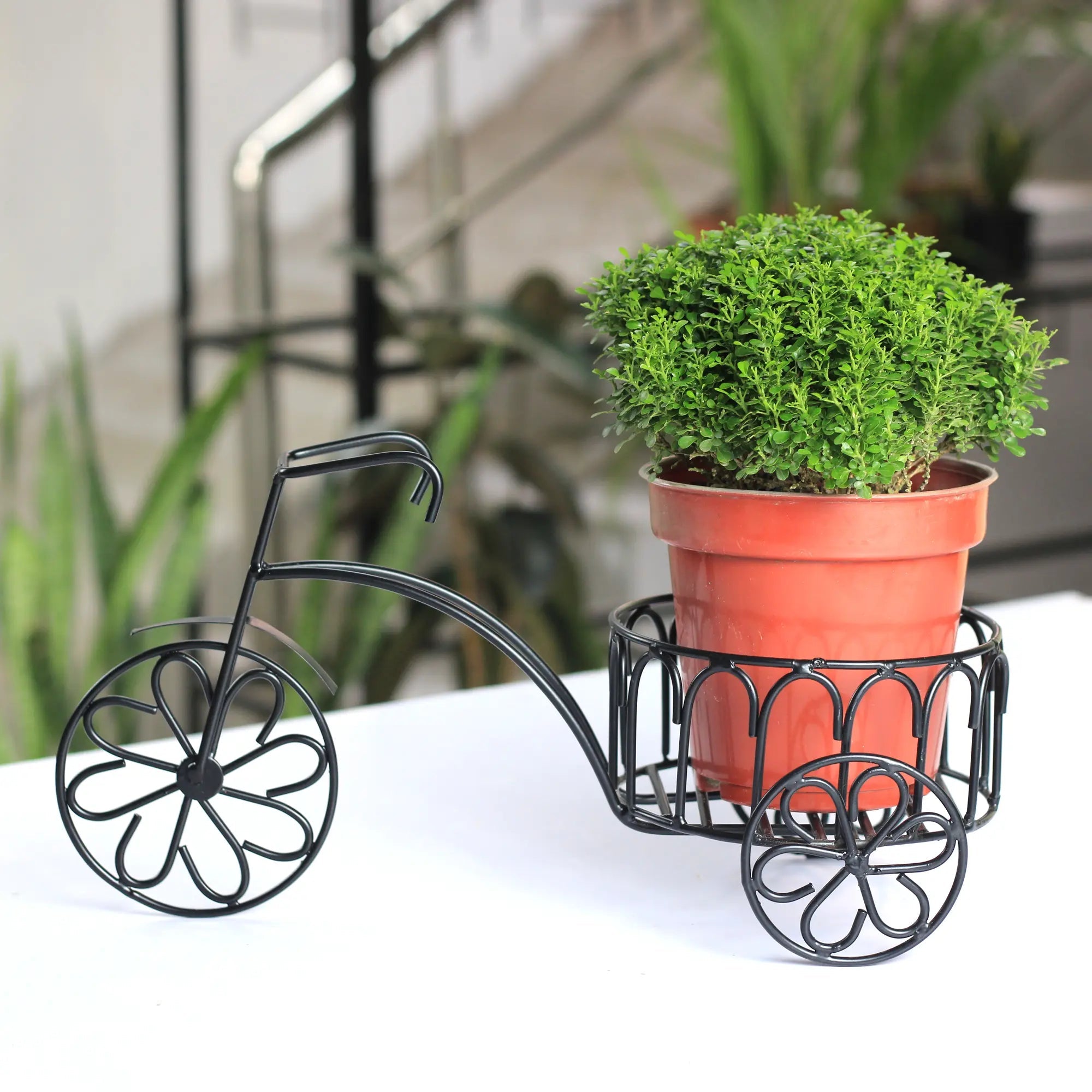 Table Top Rickshaw Style Metal Planter for Indoor (No. 1152) Planter Stand Urban Plant