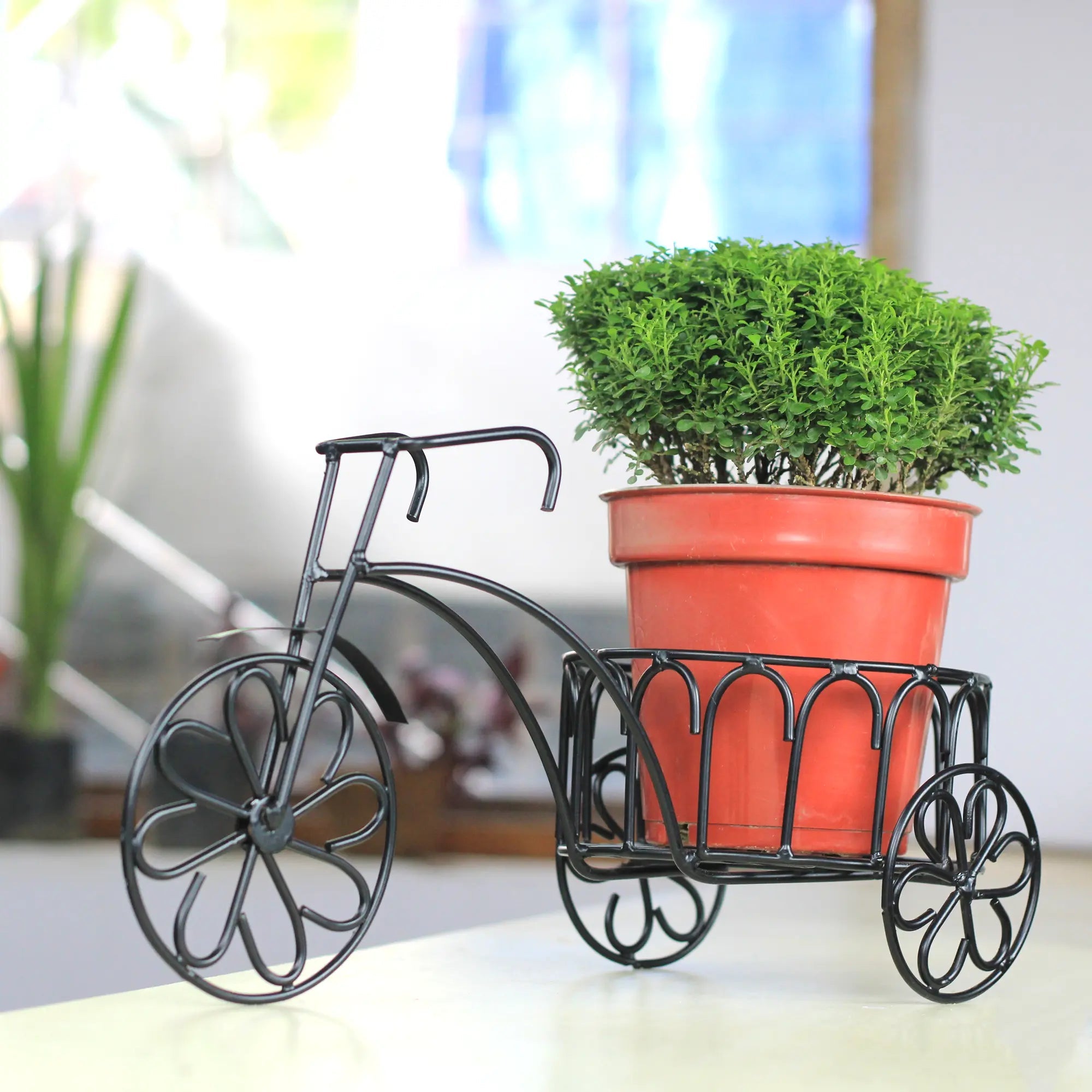 Table Top Rickshaw Style Metal Planter for Indoor (No. 1152) Planter Stand Urban Plant