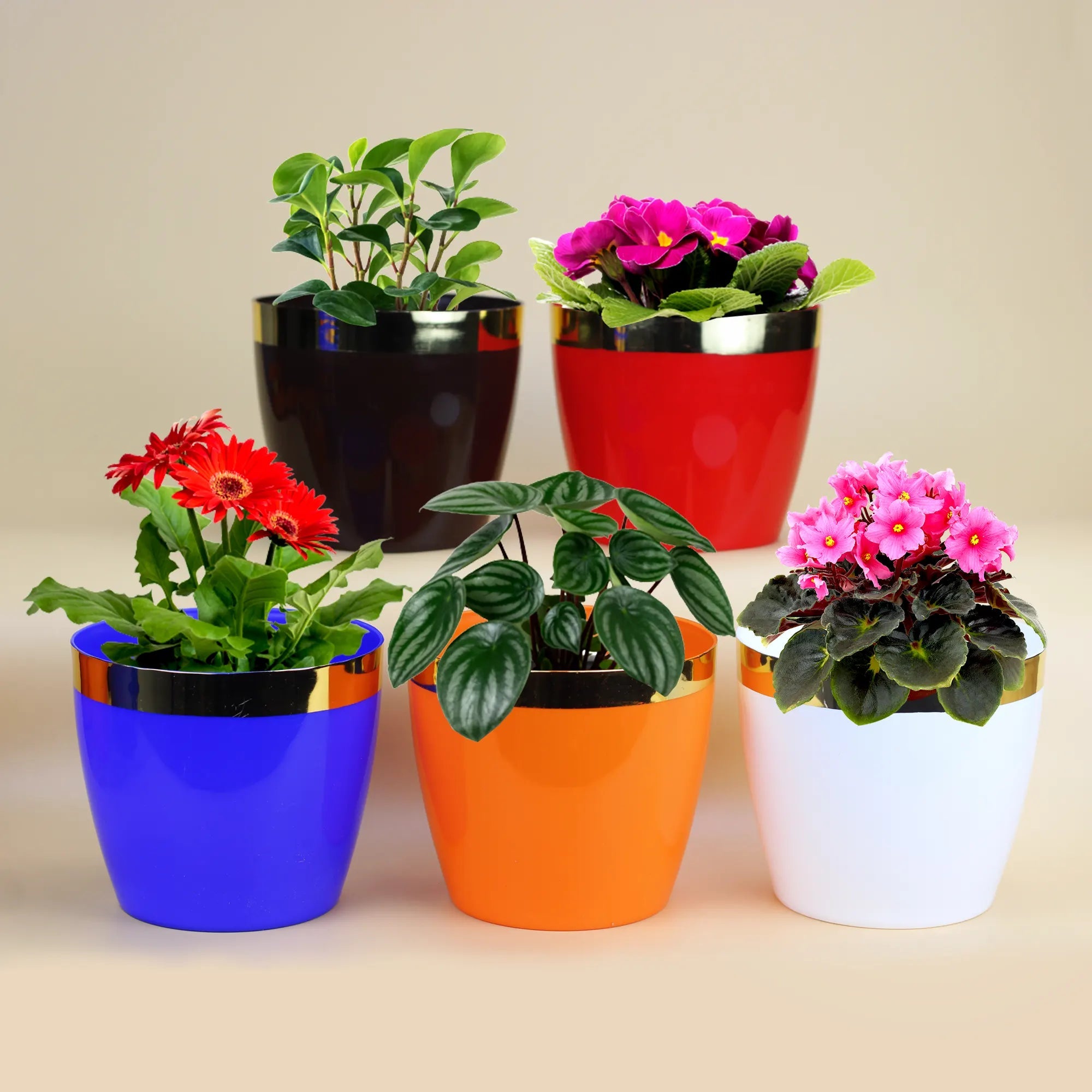 Mini Plastic Pots 5 inch Set of 5