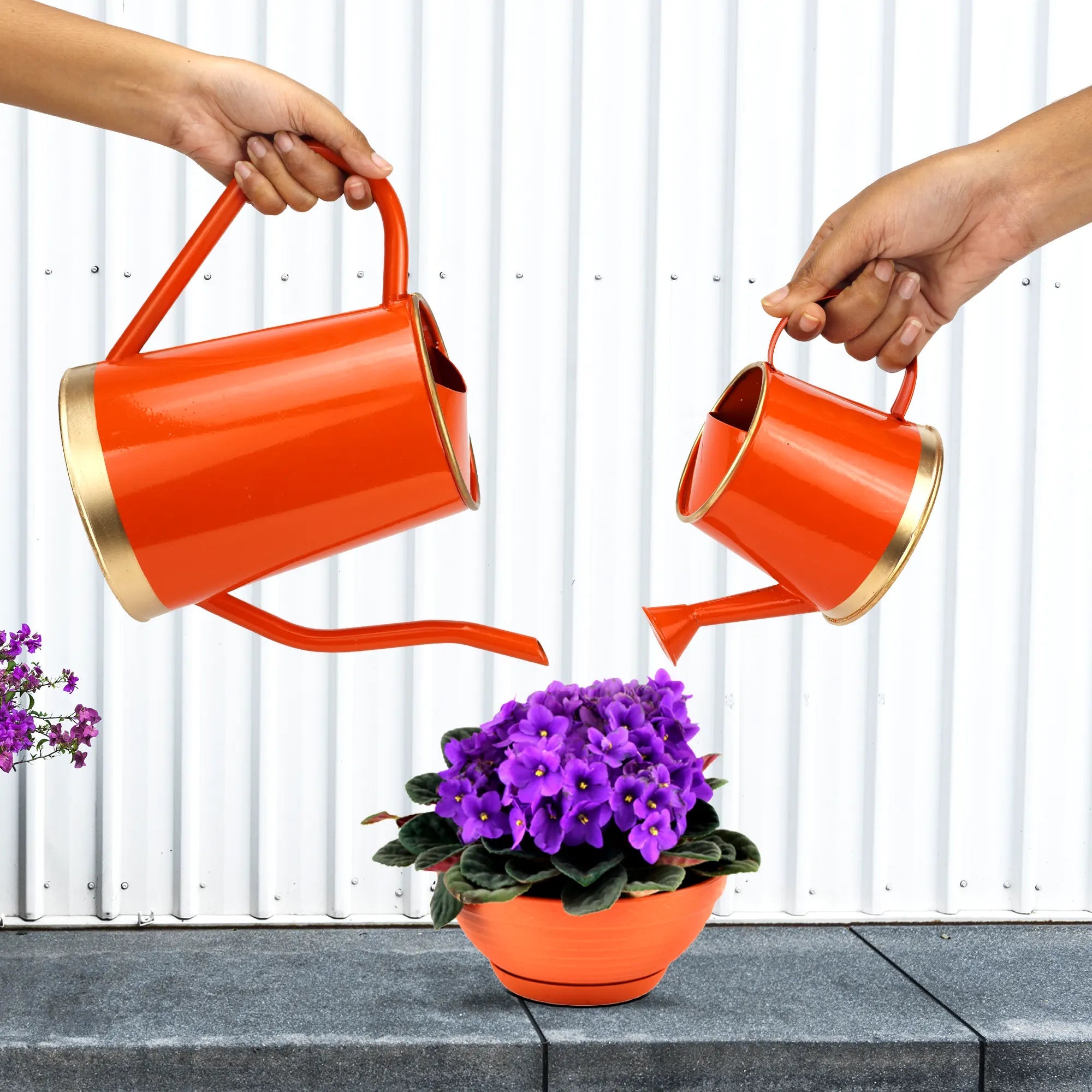 [Pack of 2] Watering Can Big & Small Home & Garden Urban Plant Orange 