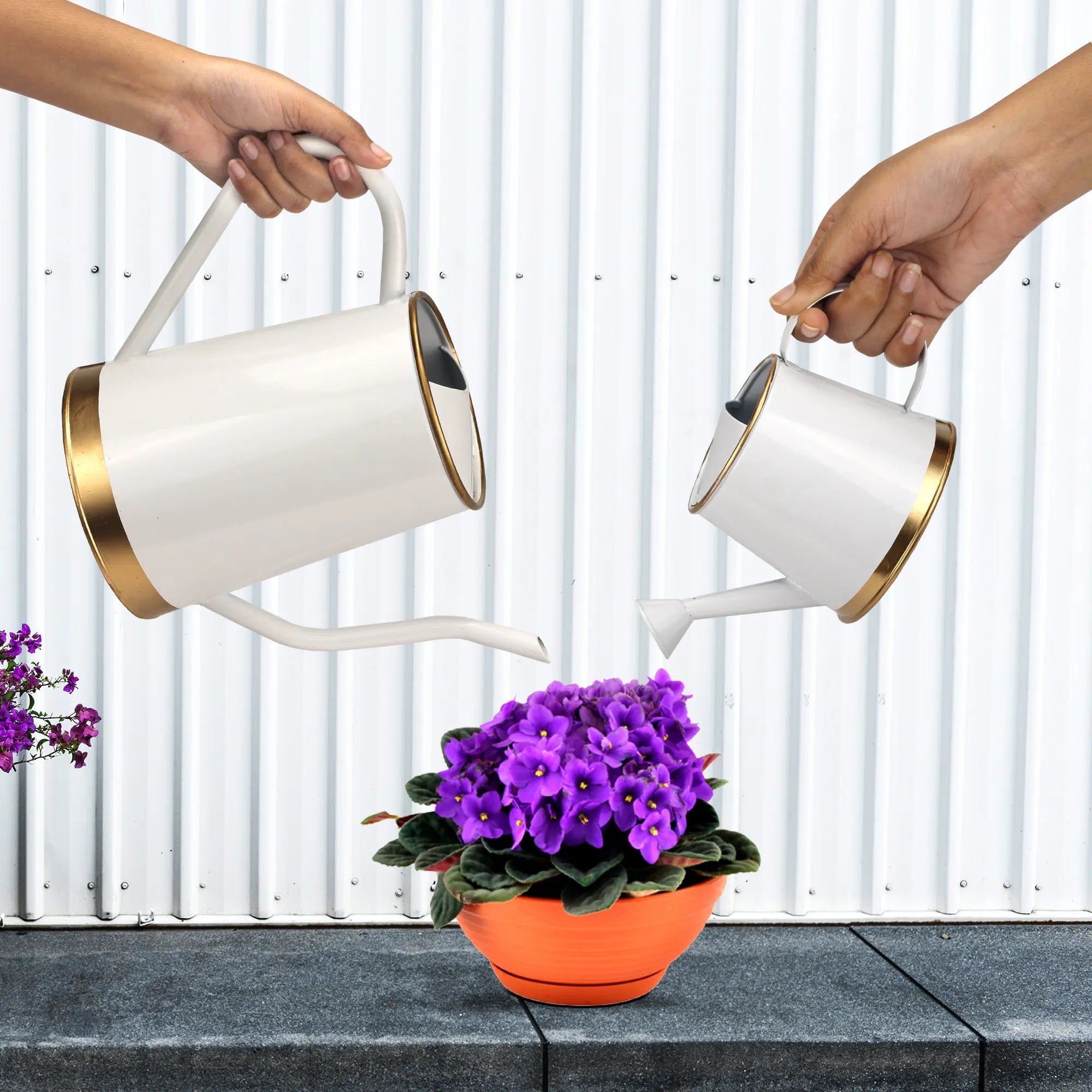 [Pack of 2] Watering Can Big & Small Home & Garden Urban Plant White 