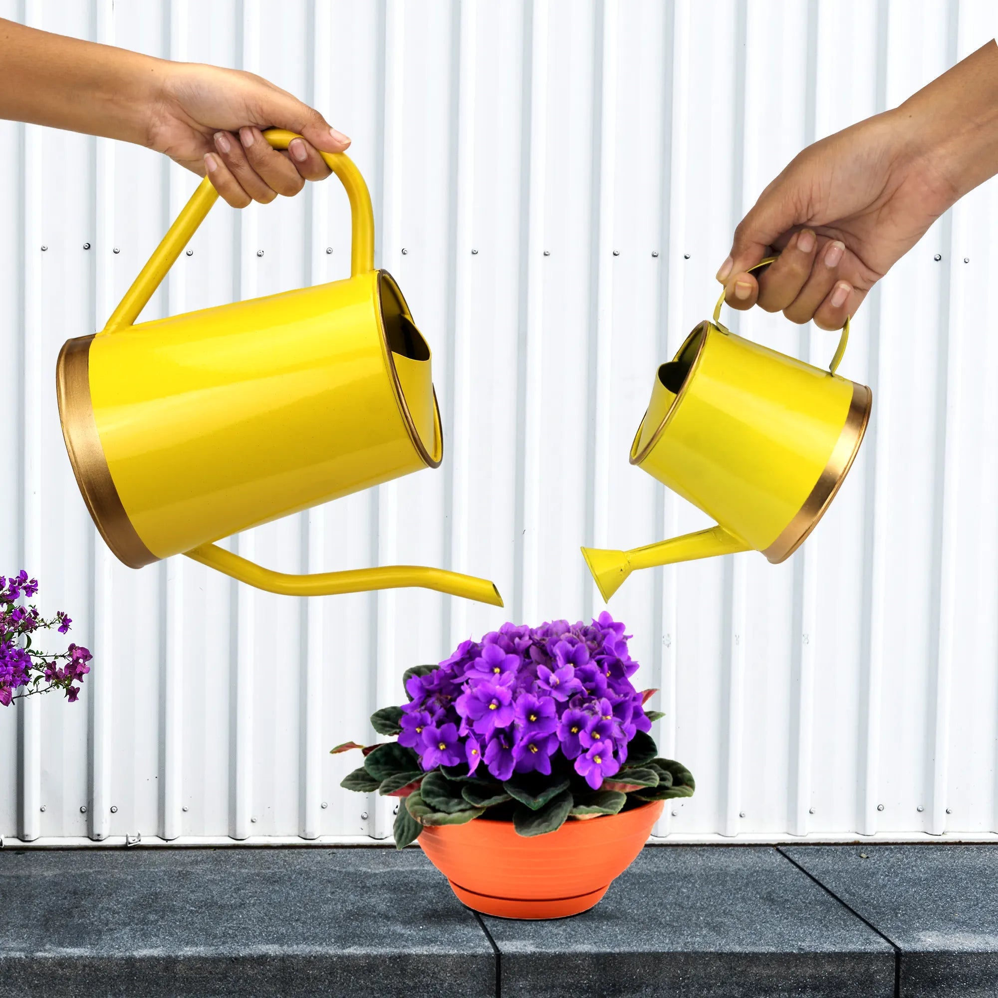 [Pack of 2] Watering Can Big & Small Home & Garden Urban Plant Yellow 