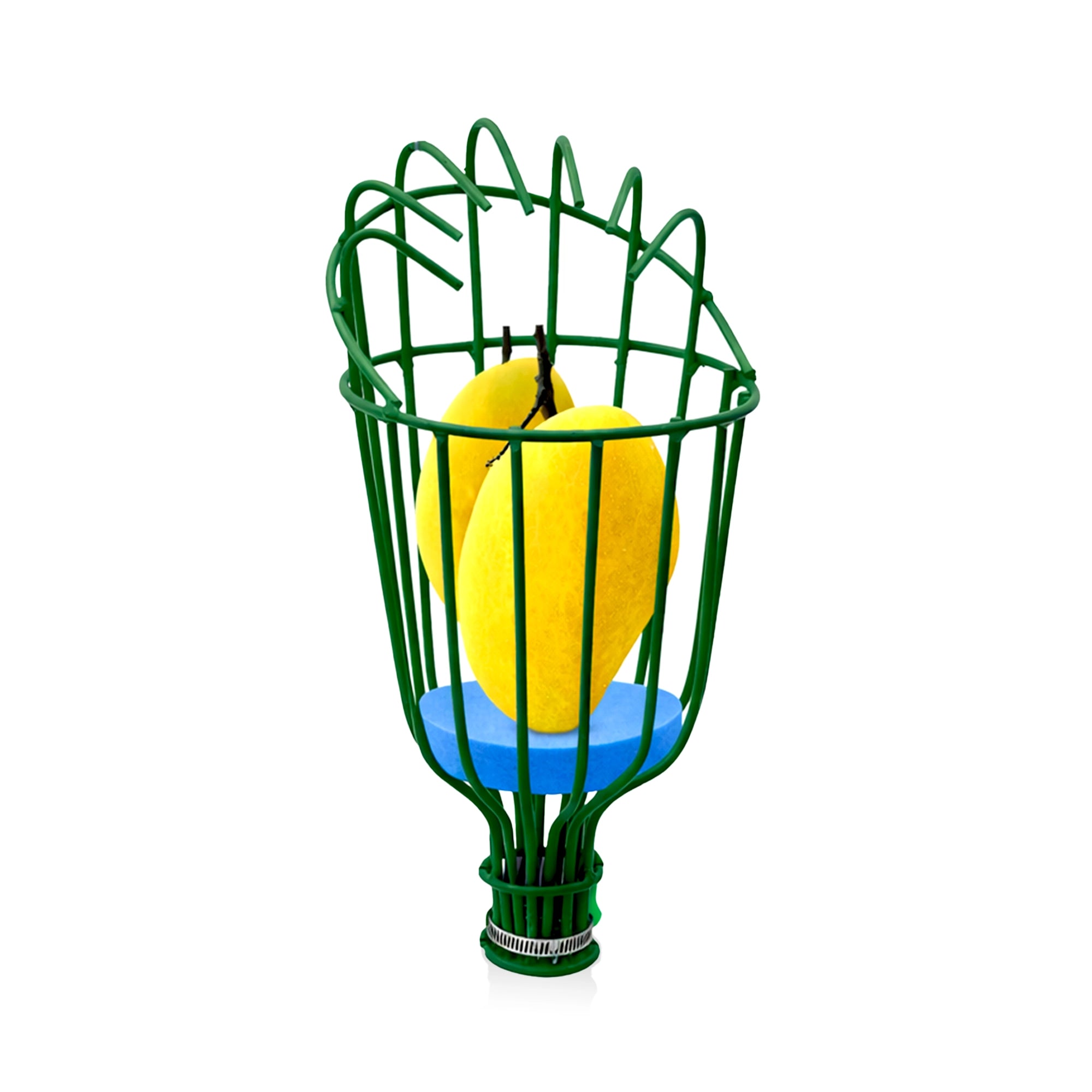Urban Plant Fruit Picker Plucking Tool (Pole Not Include)