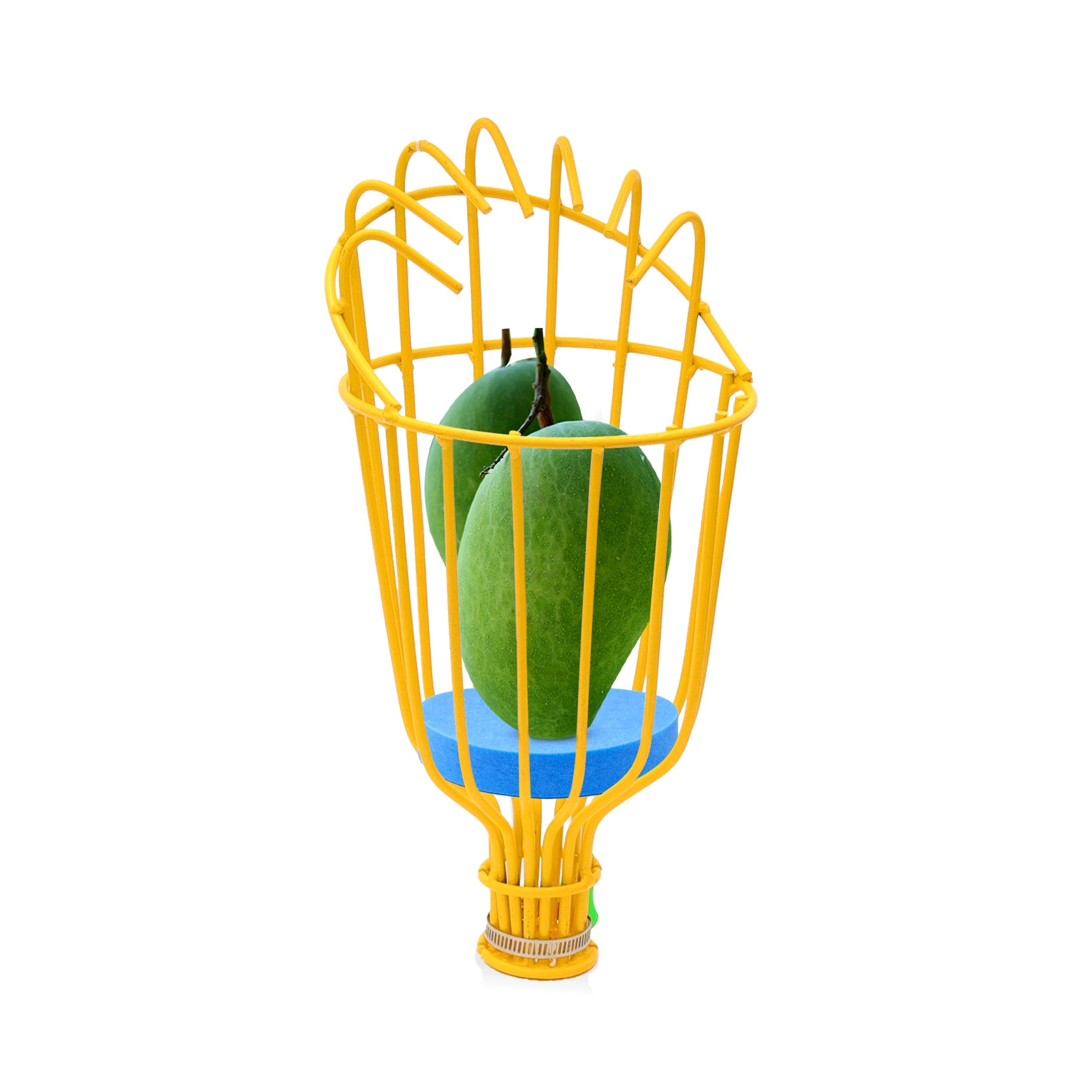 Urban Plant Fruit Picker Plucking Tool (Pole Not Include)