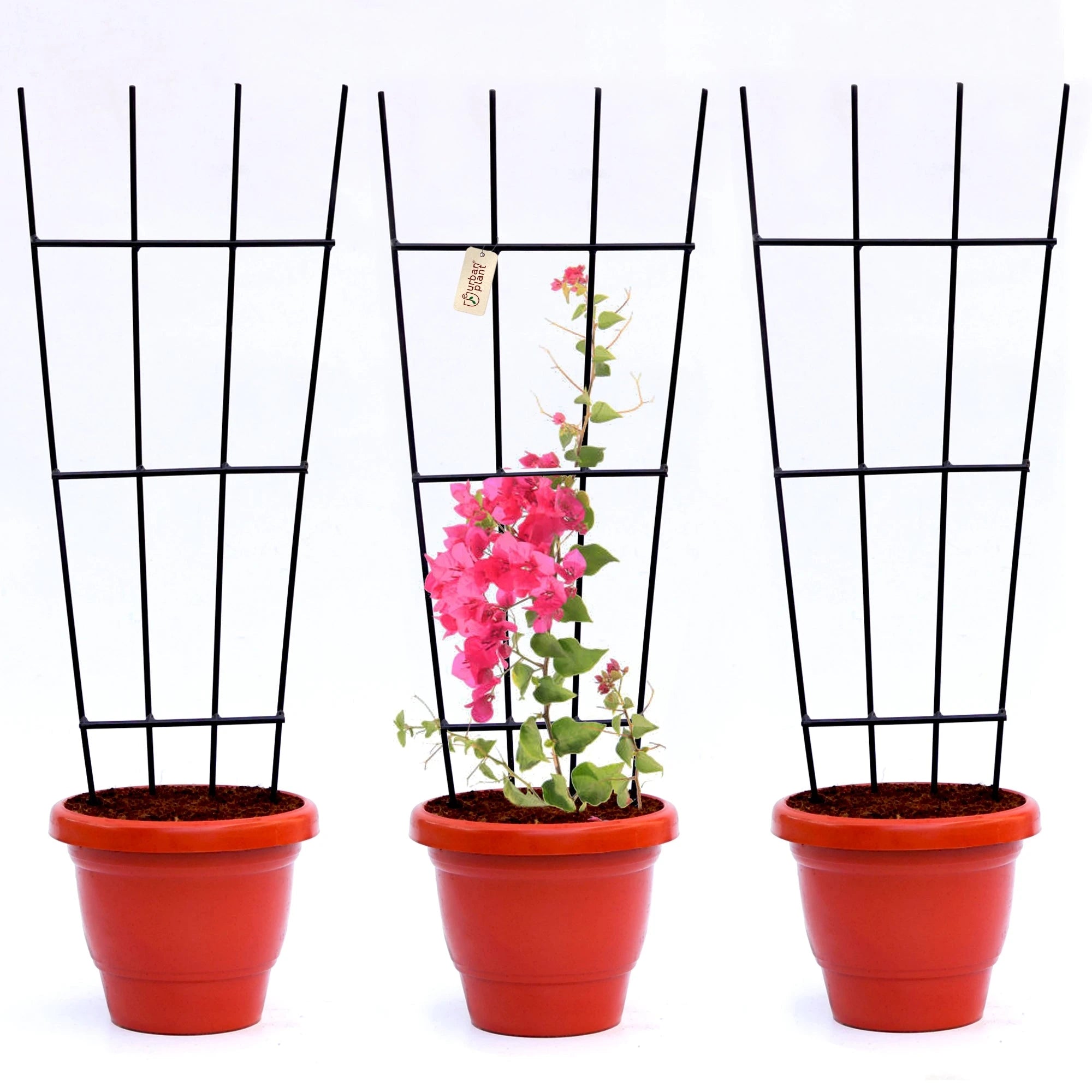 Urban Plant Greenweave Trellis for Climbing Plants Gardening Accessories Urban Plant Pack of 3