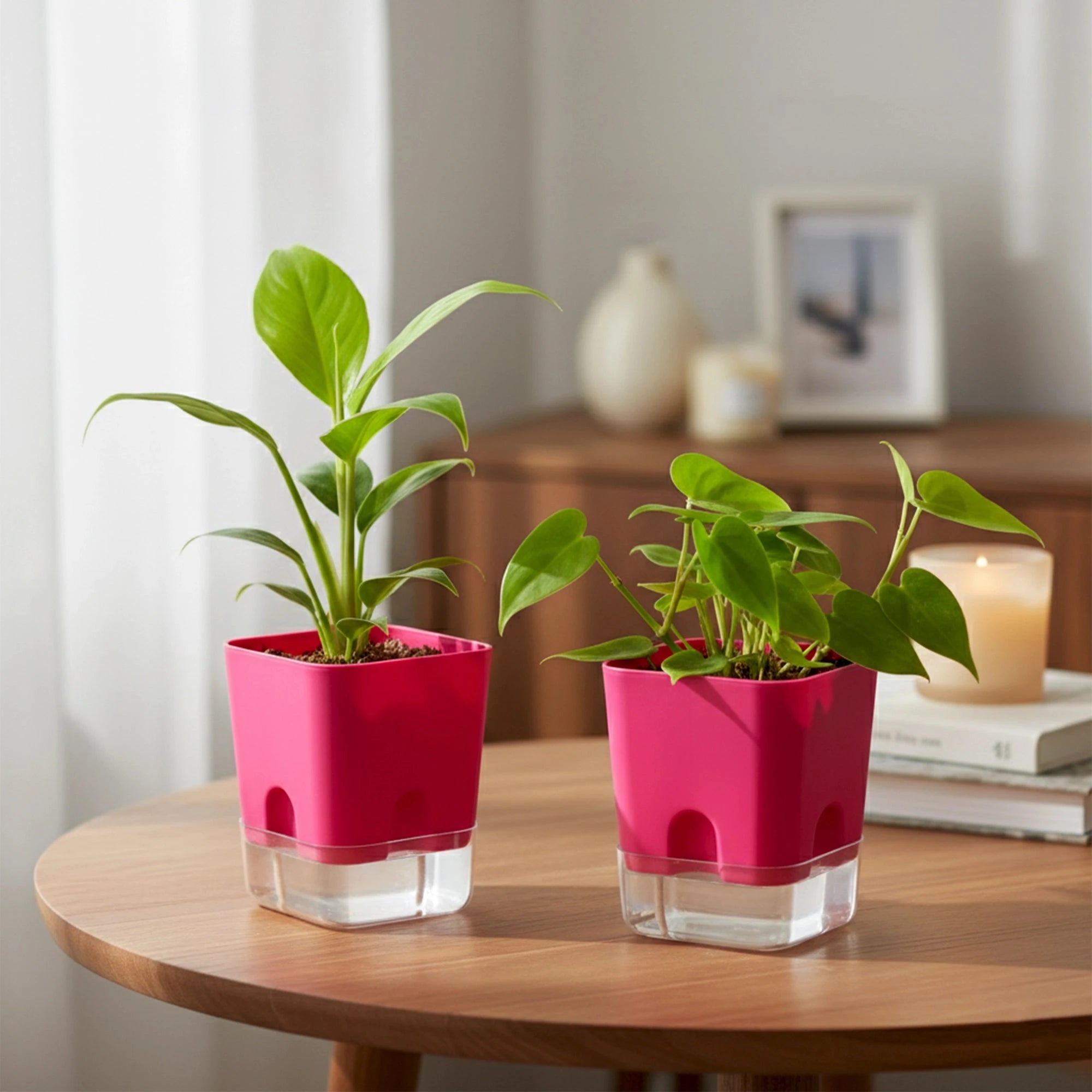 Aquaflow Self Watering Pot Plastic Pot Urban Plant Magenta 2