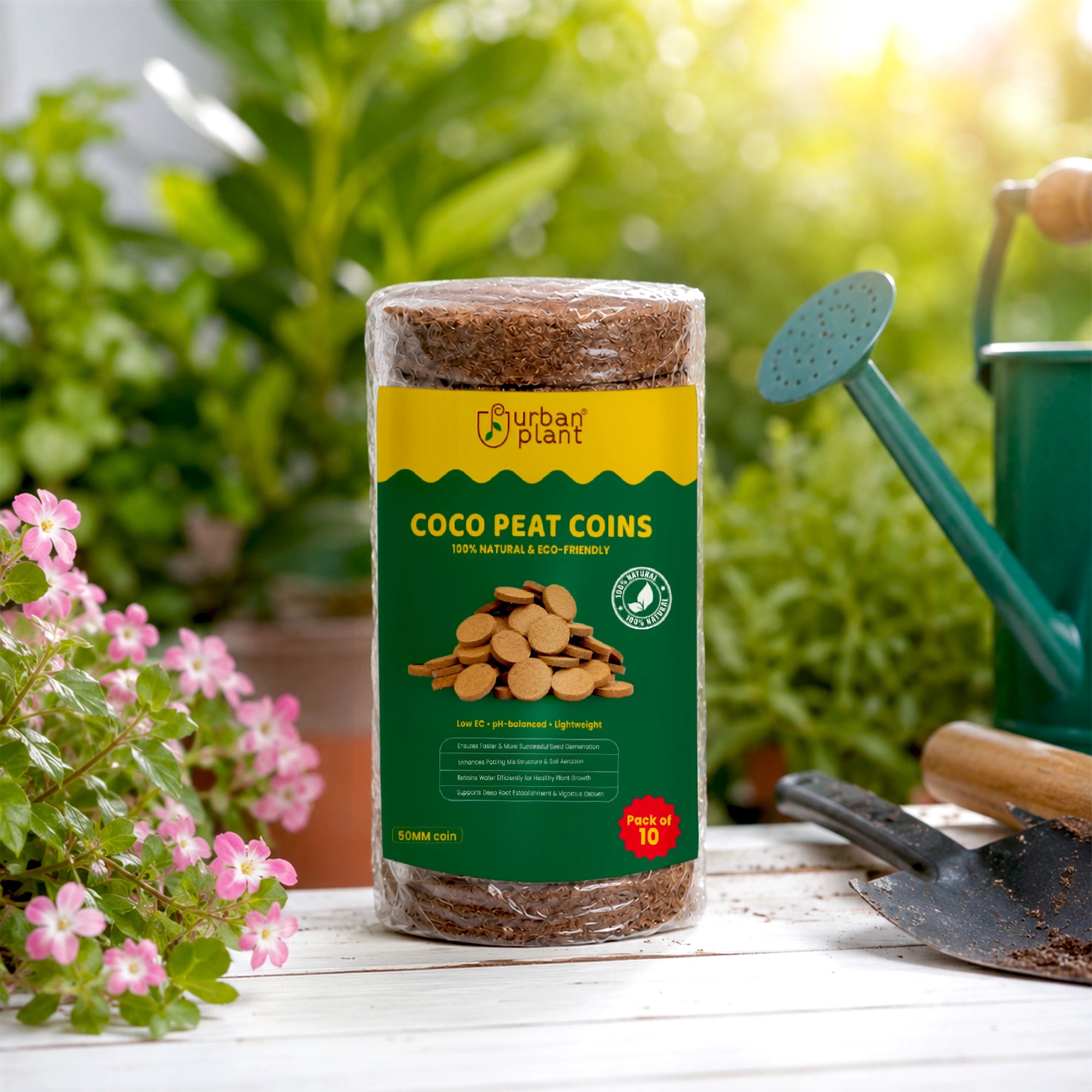 Cocopeat Seedling Coin