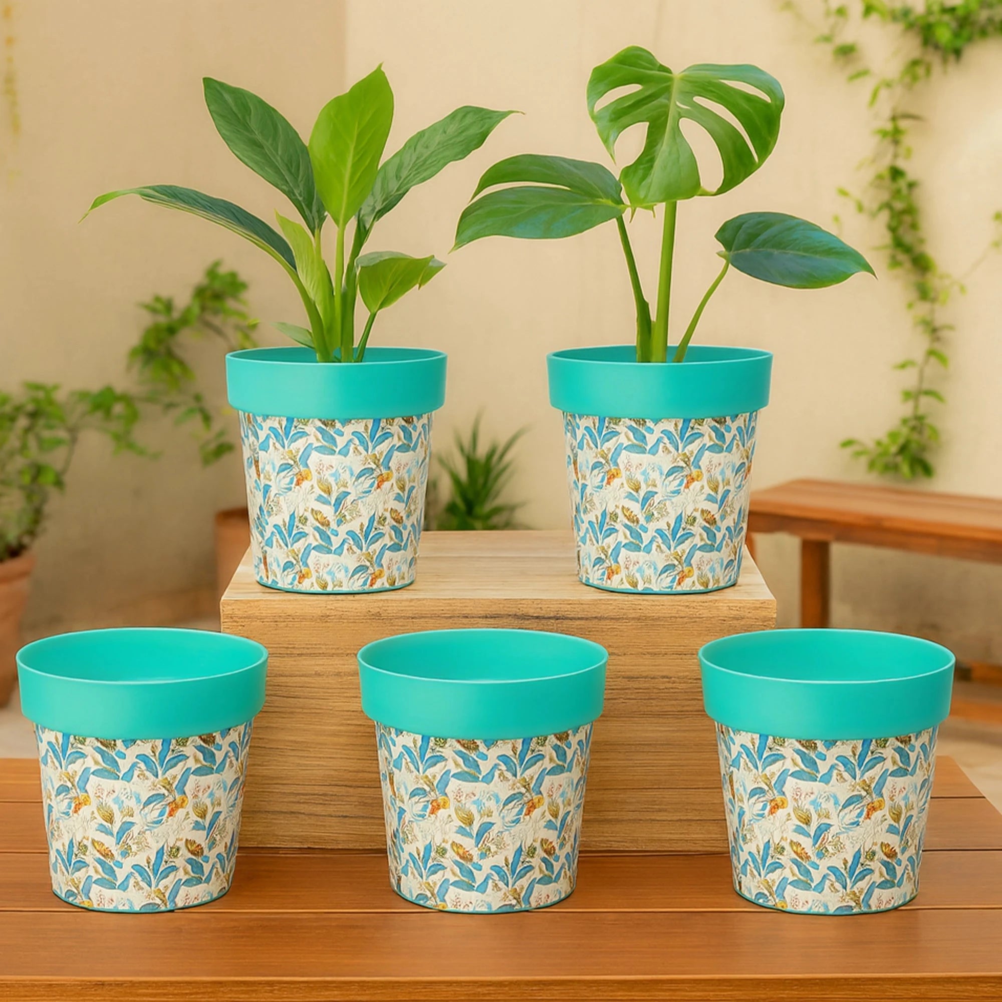 Colourpop Pots - (Set of 5) Plastic Pot Urban Plant Green Leaf Set of 5