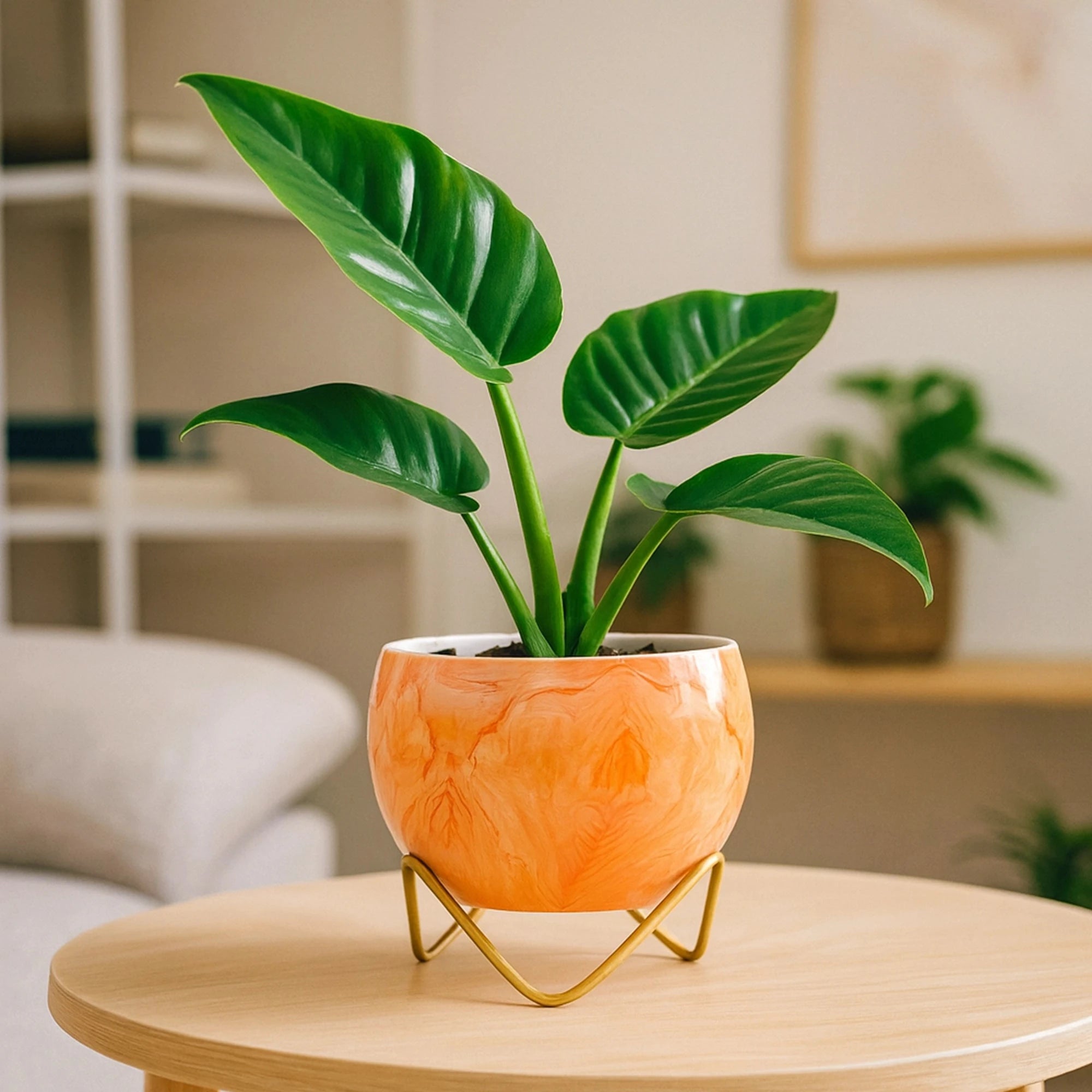 Petite Metal Pots Metal Planter Urban Plant Orange Marble