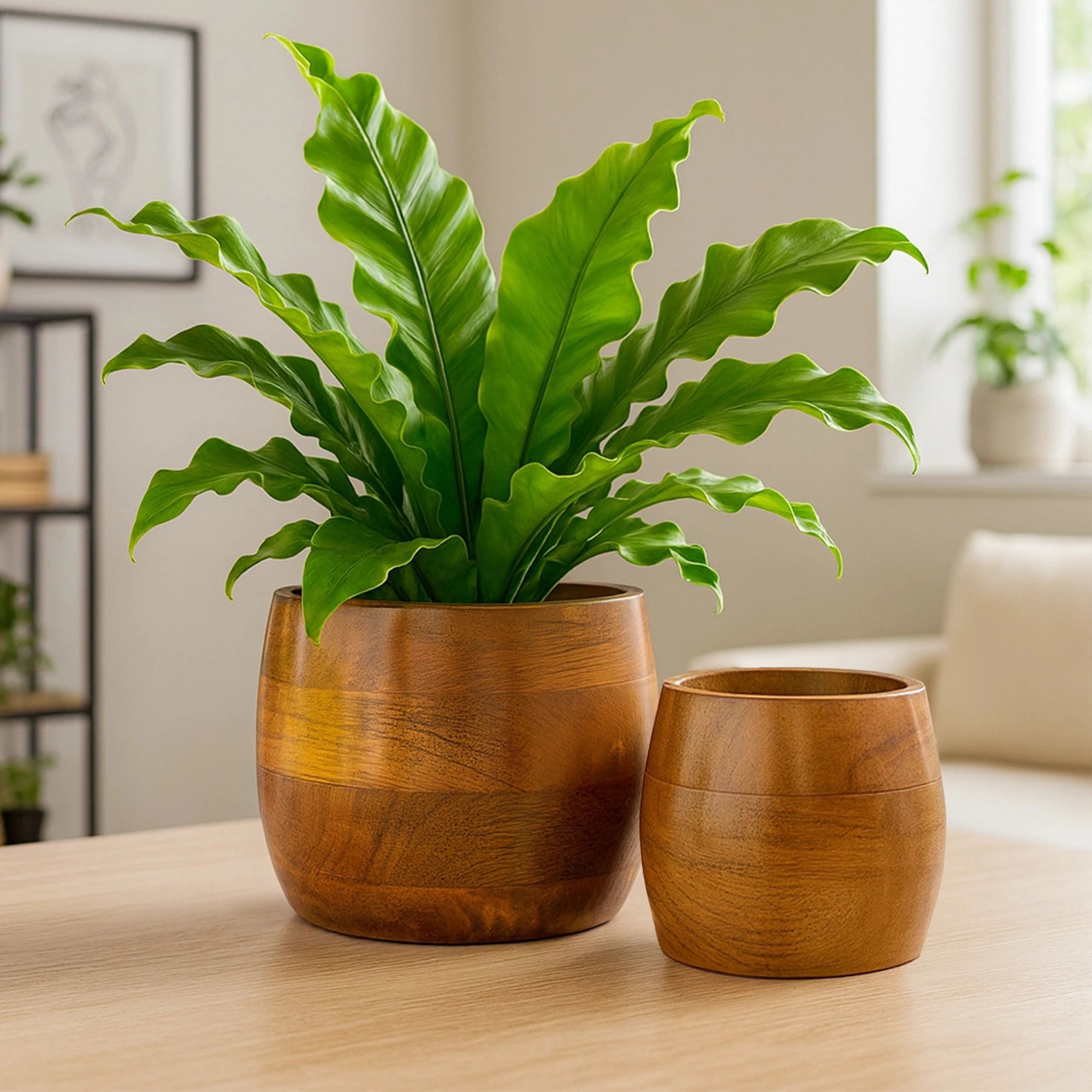 Earth Bowl Wooden Planters (Set of 2) wooden planter Urban Plant Curve