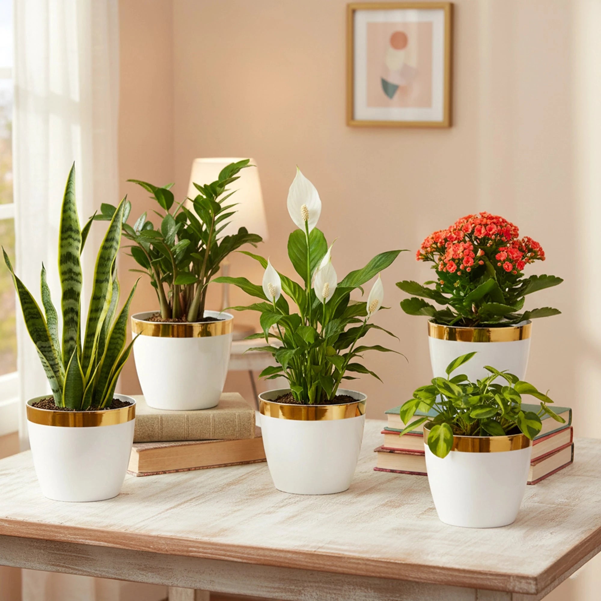 Plantura Pots- (Set of 5) Plastic Pot Urban Plant White