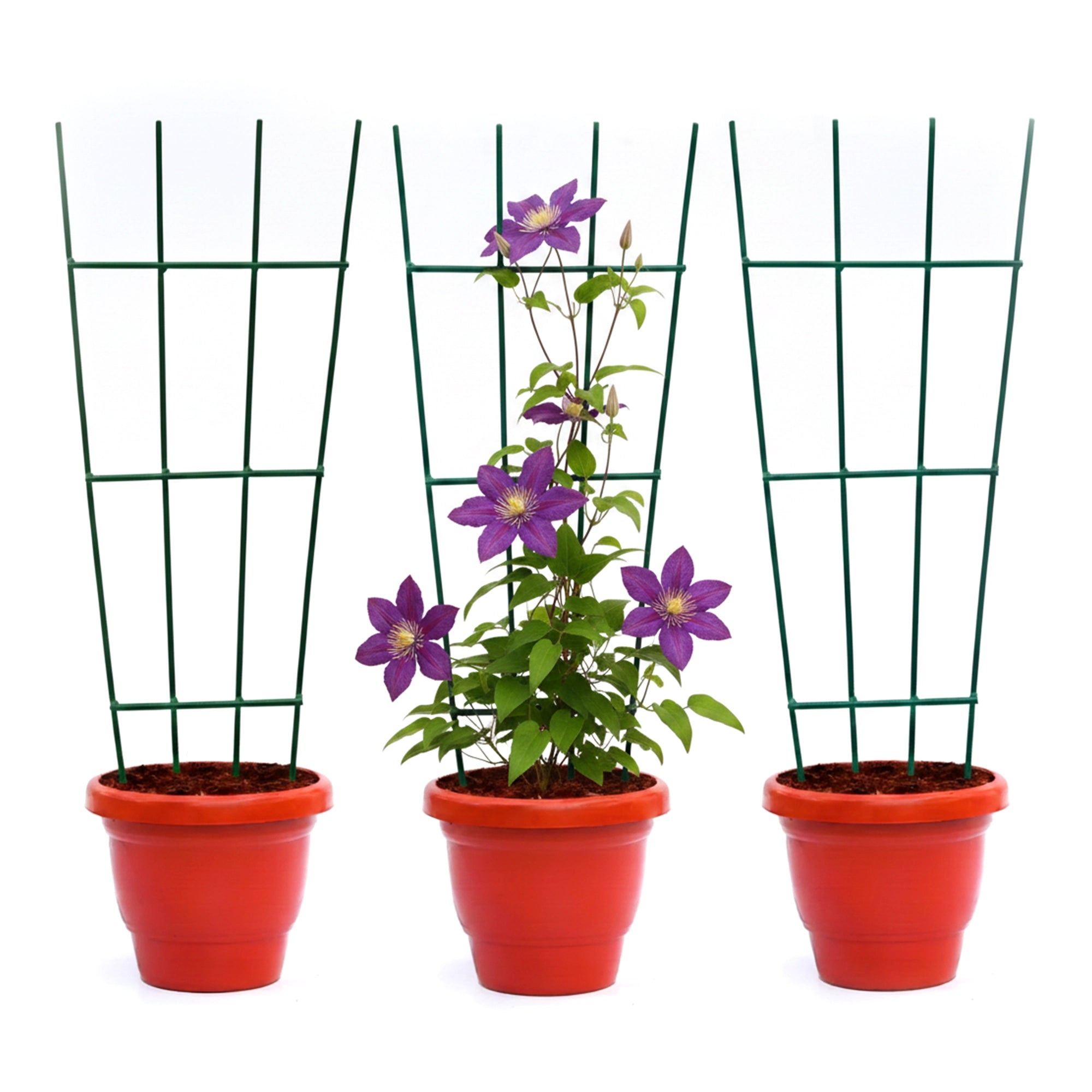 Urban Plant Greenweave Trellis for Climbing Plants