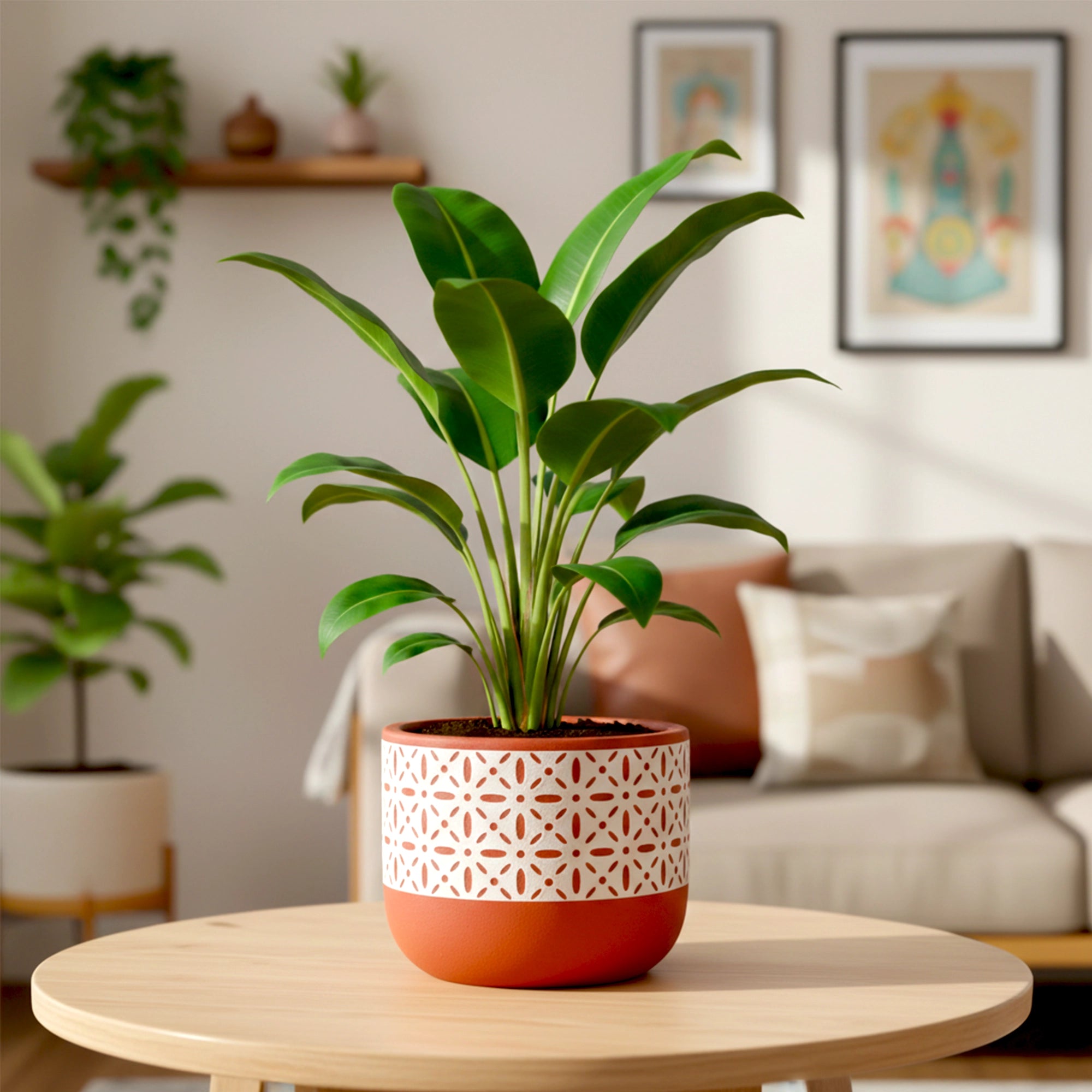 Virasat Terracotta Pot