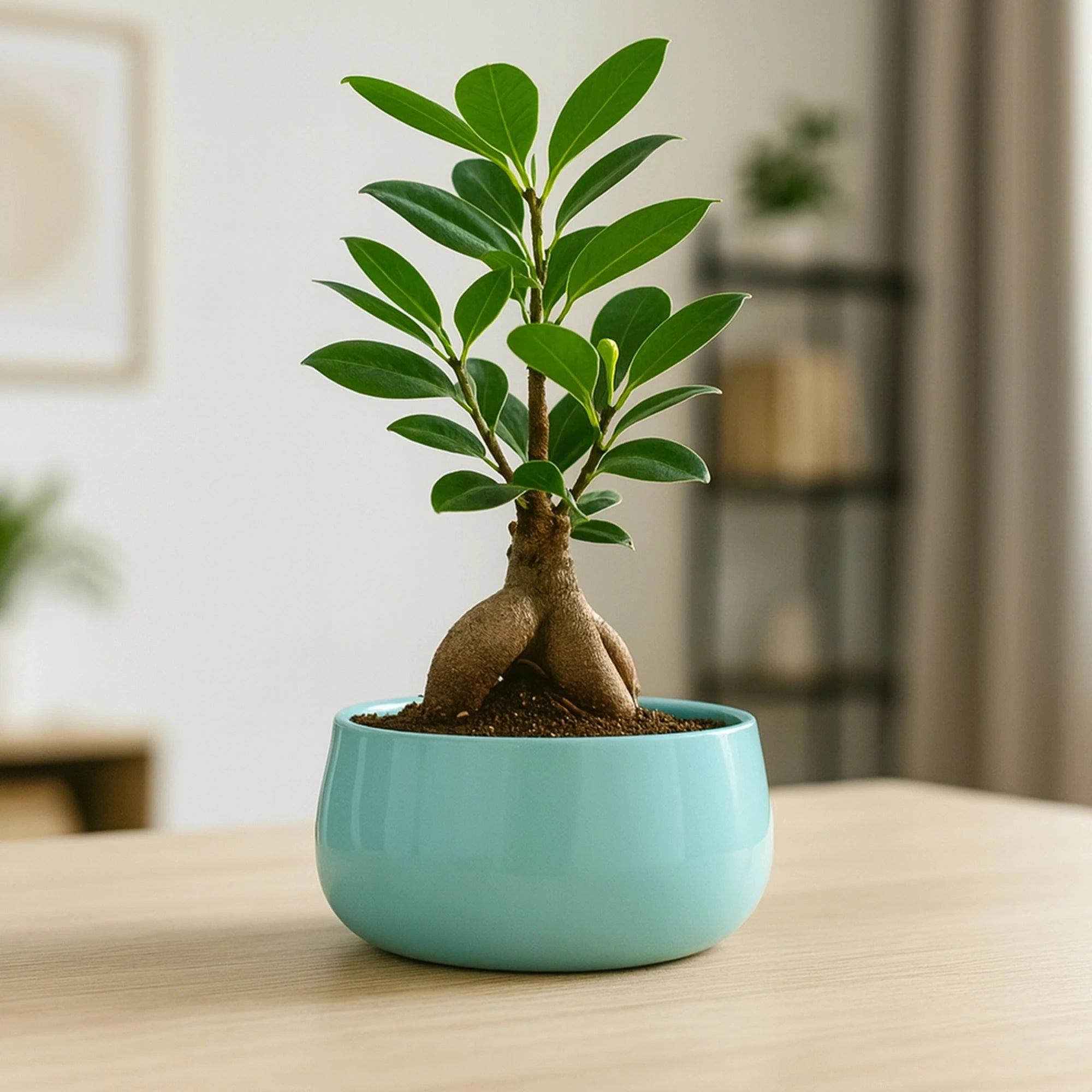 Metalix Metal pot Metal Planter Urban Plant Cyan