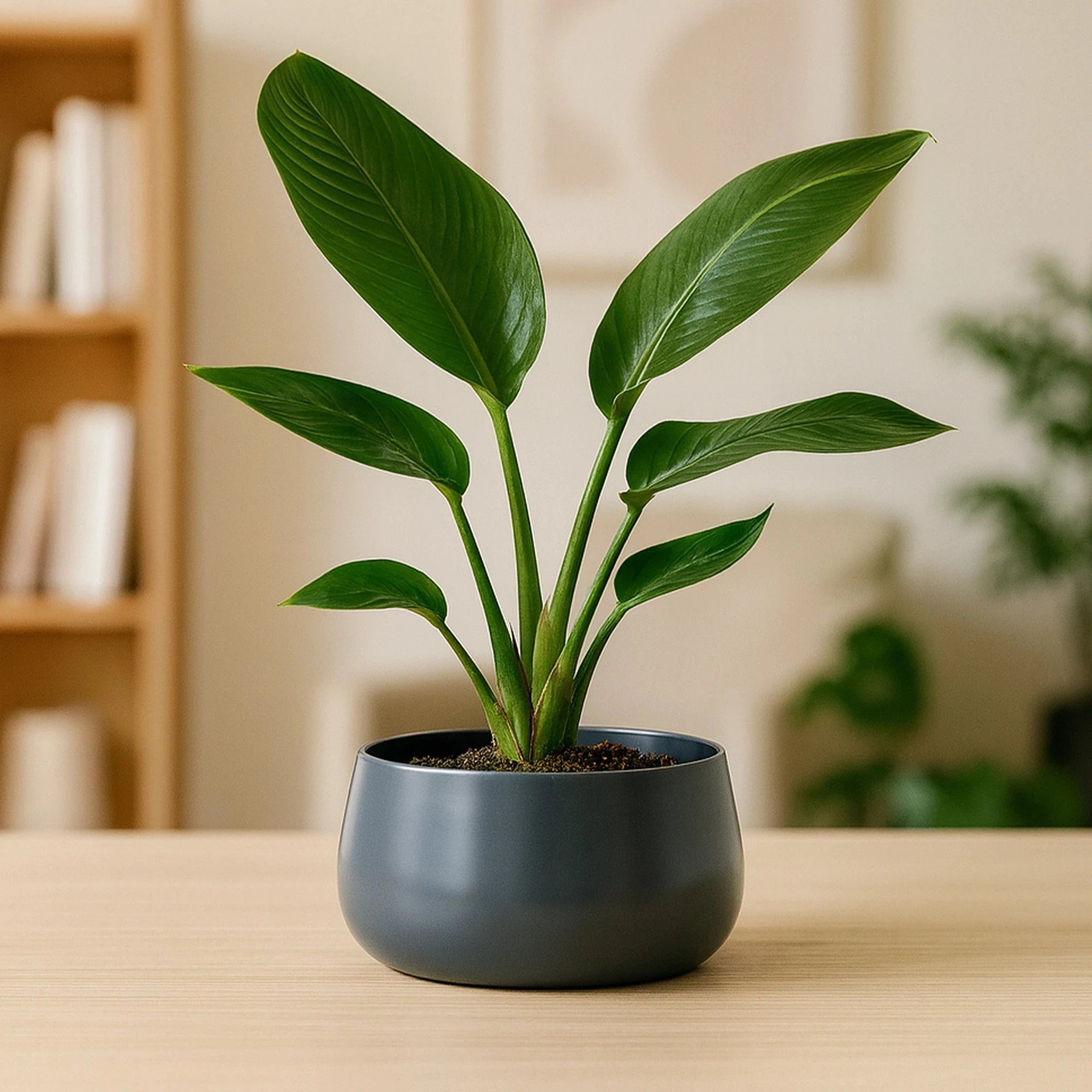 Metalix Metal pot Metal Planter Urban Plant Gray